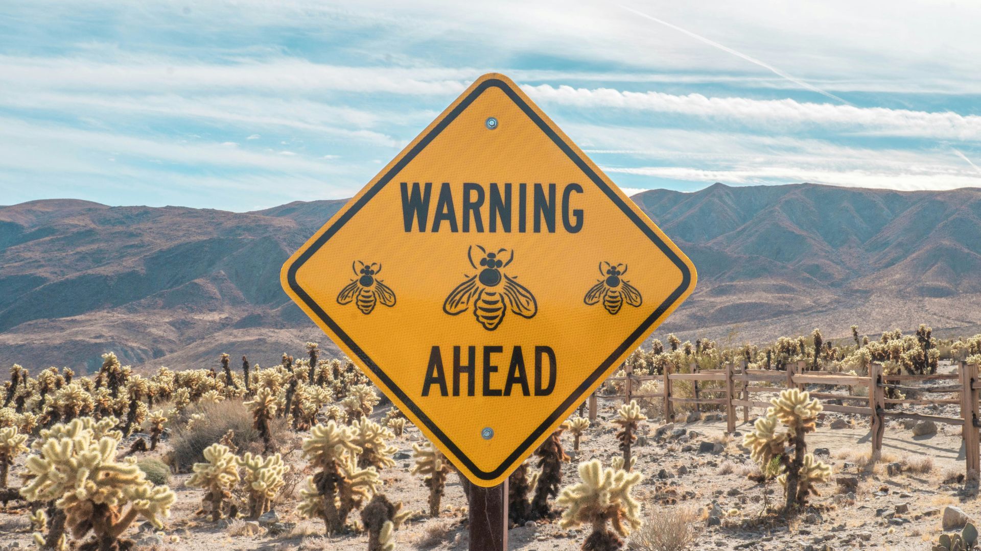 yellow and black road sign