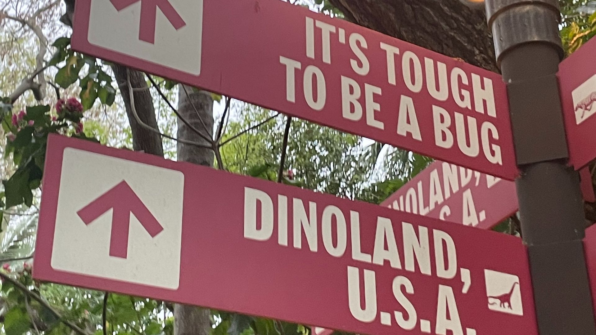 File:Animal Kingdom direction signage.jpg