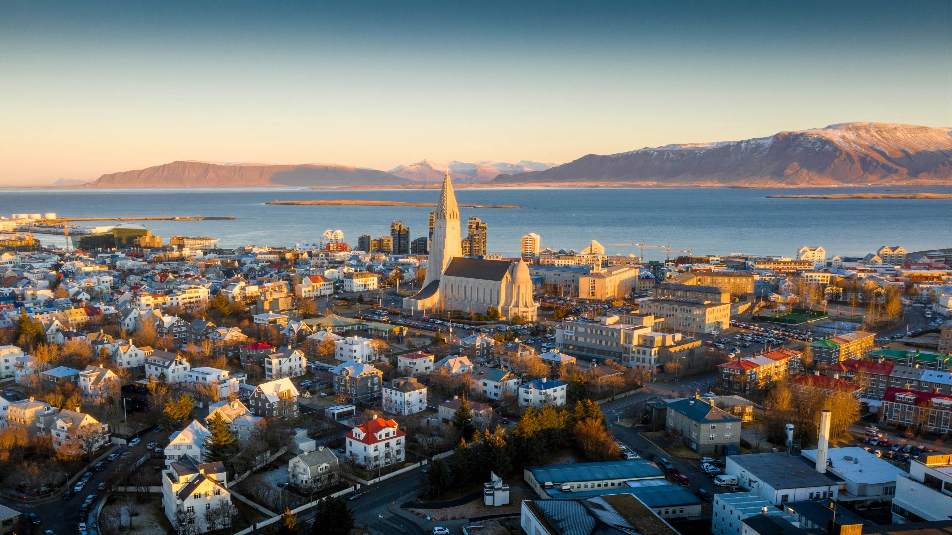 aerial view of city buildings during daytime