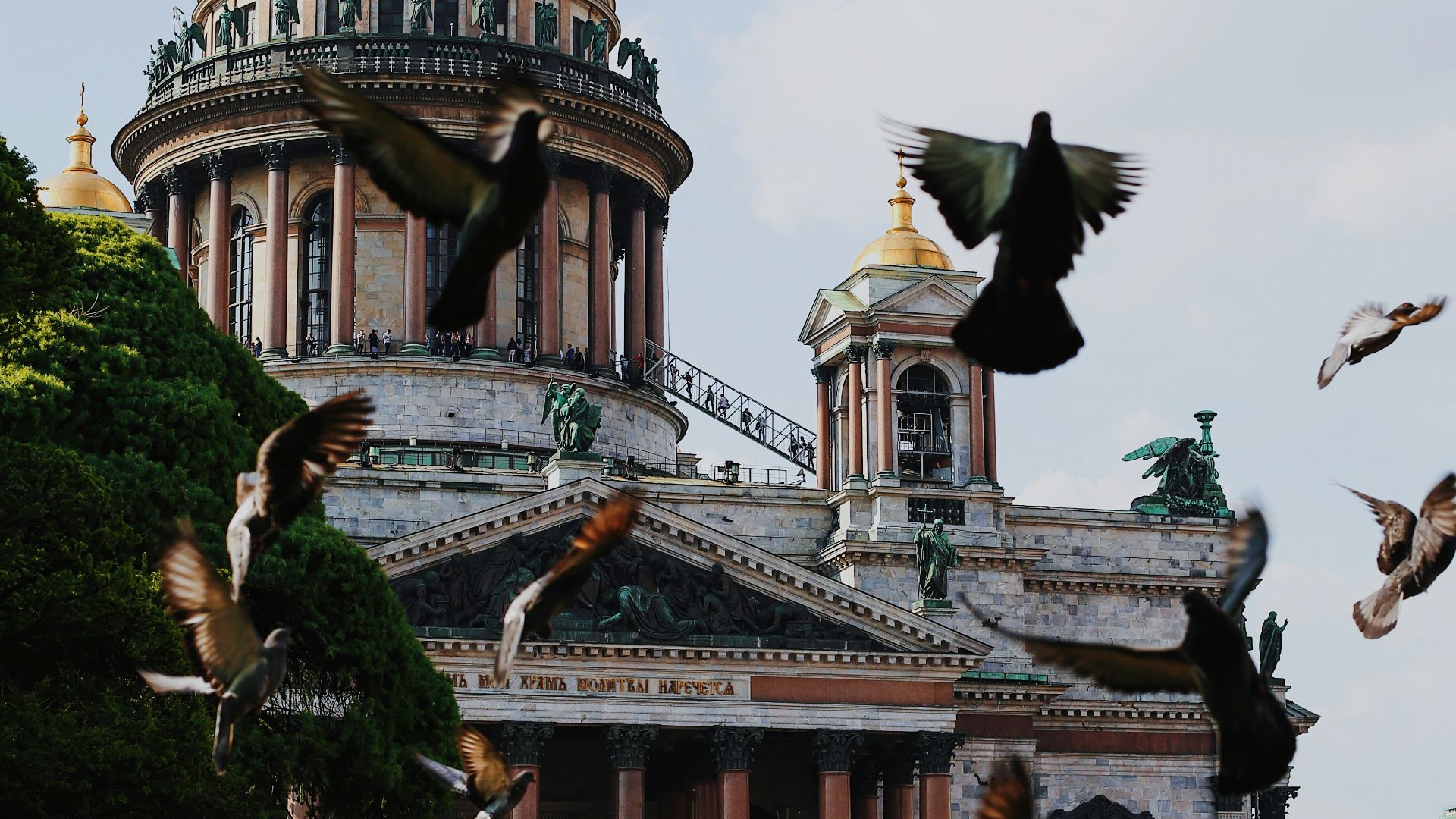 a flock of birds flying around a building