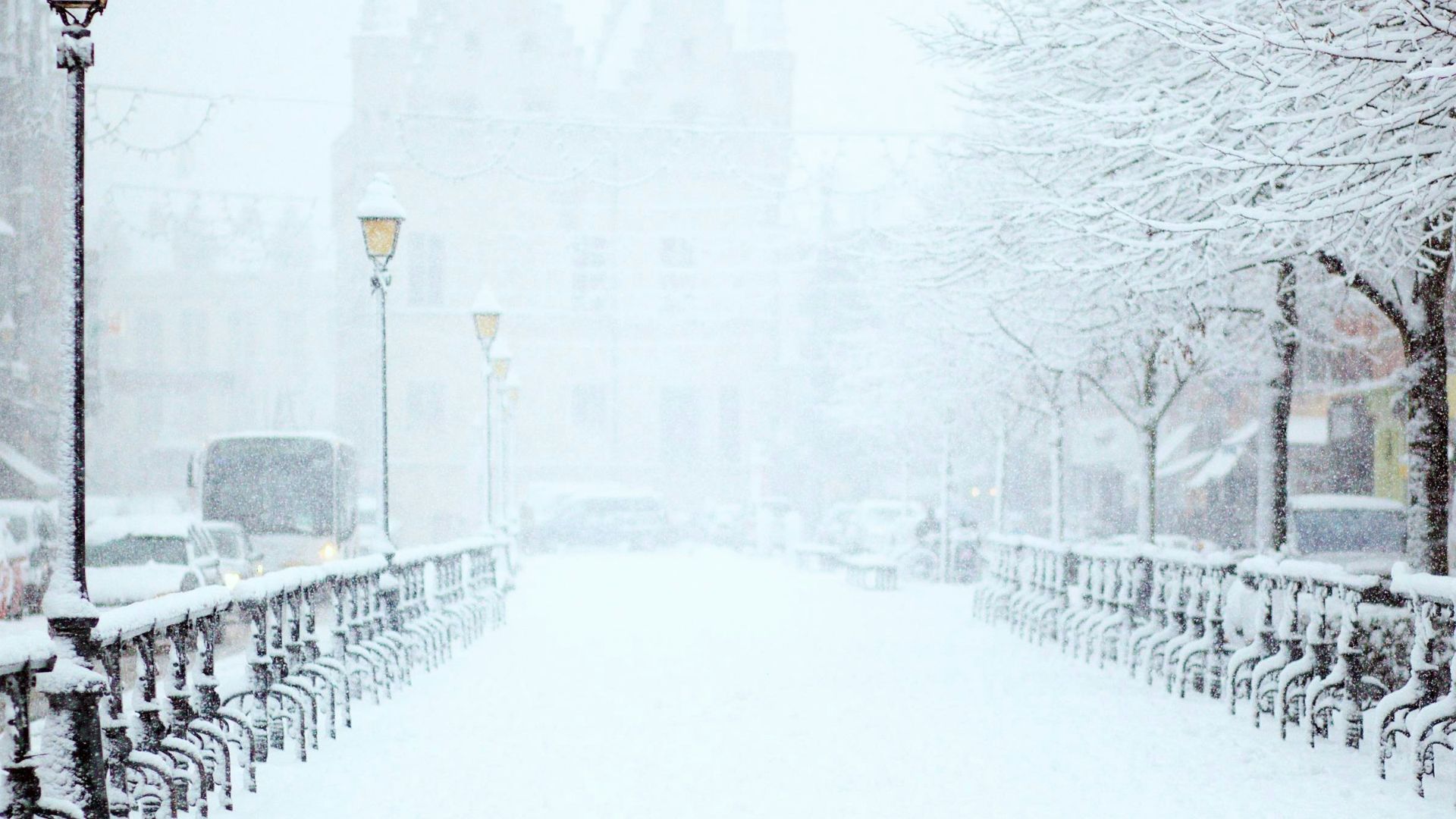 road covered by snow near vehicle traveling at daytime