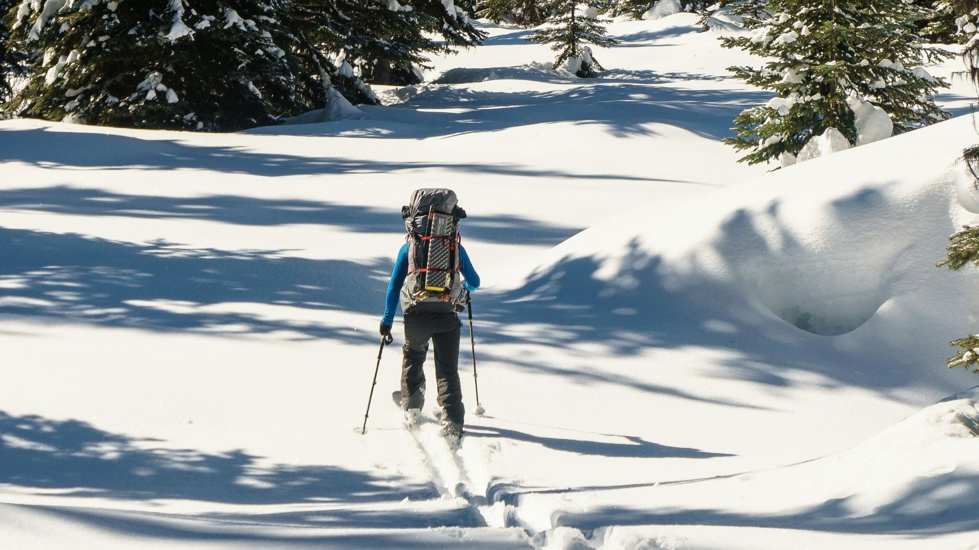 person in black jacket and black pants standing on snow covered ground near green pine trees