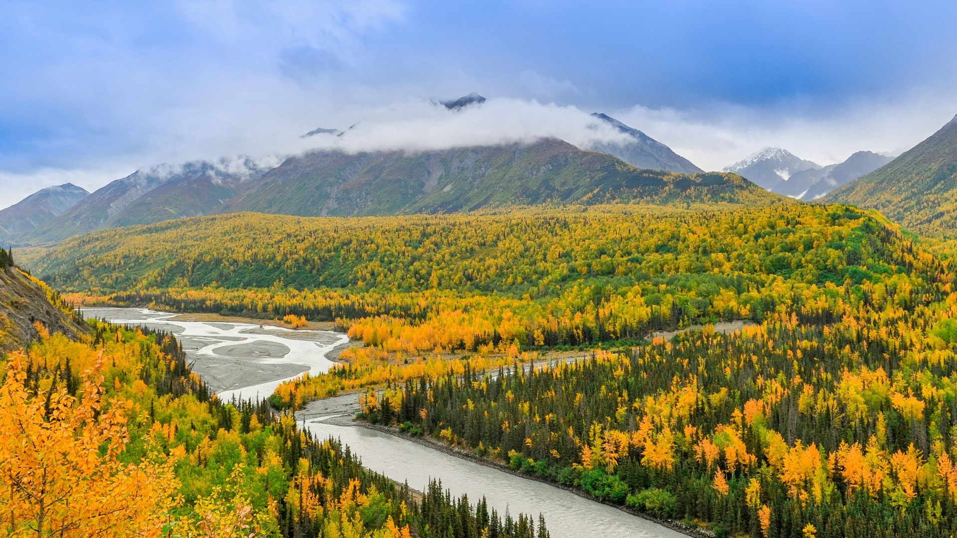 river beside forest under bright sky