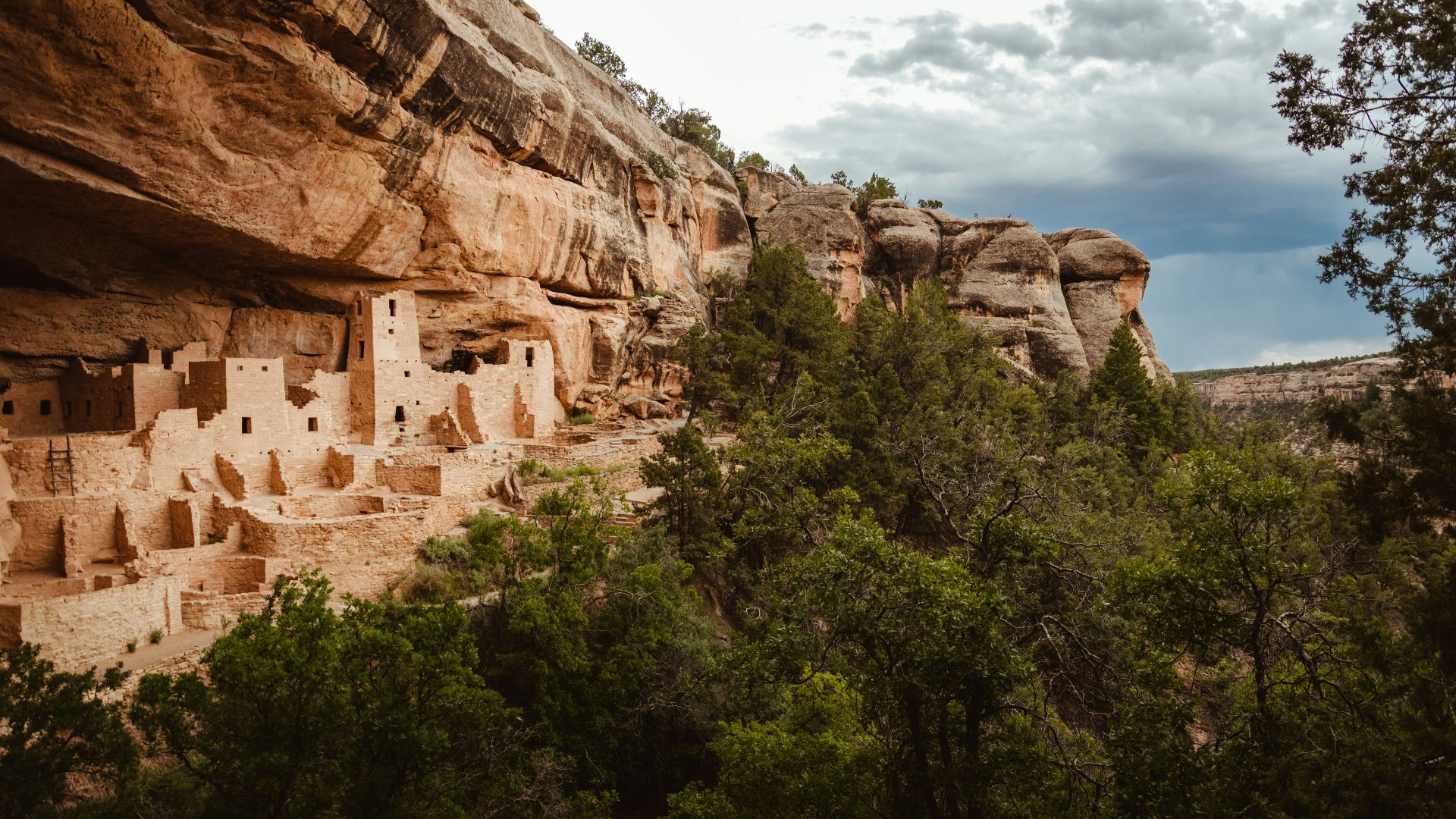 green trees on brown rocky mountain during daytime
