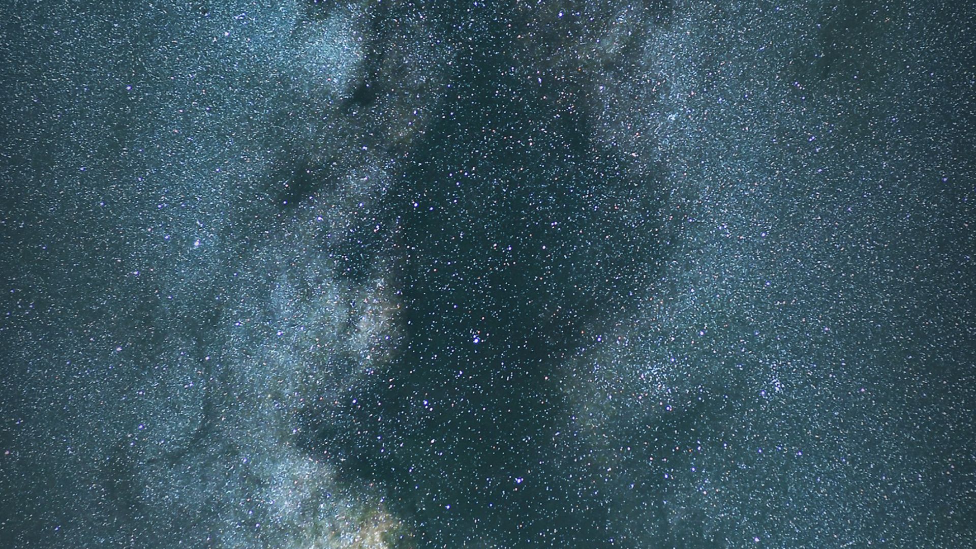 green leafed tree on body of water under starry sky