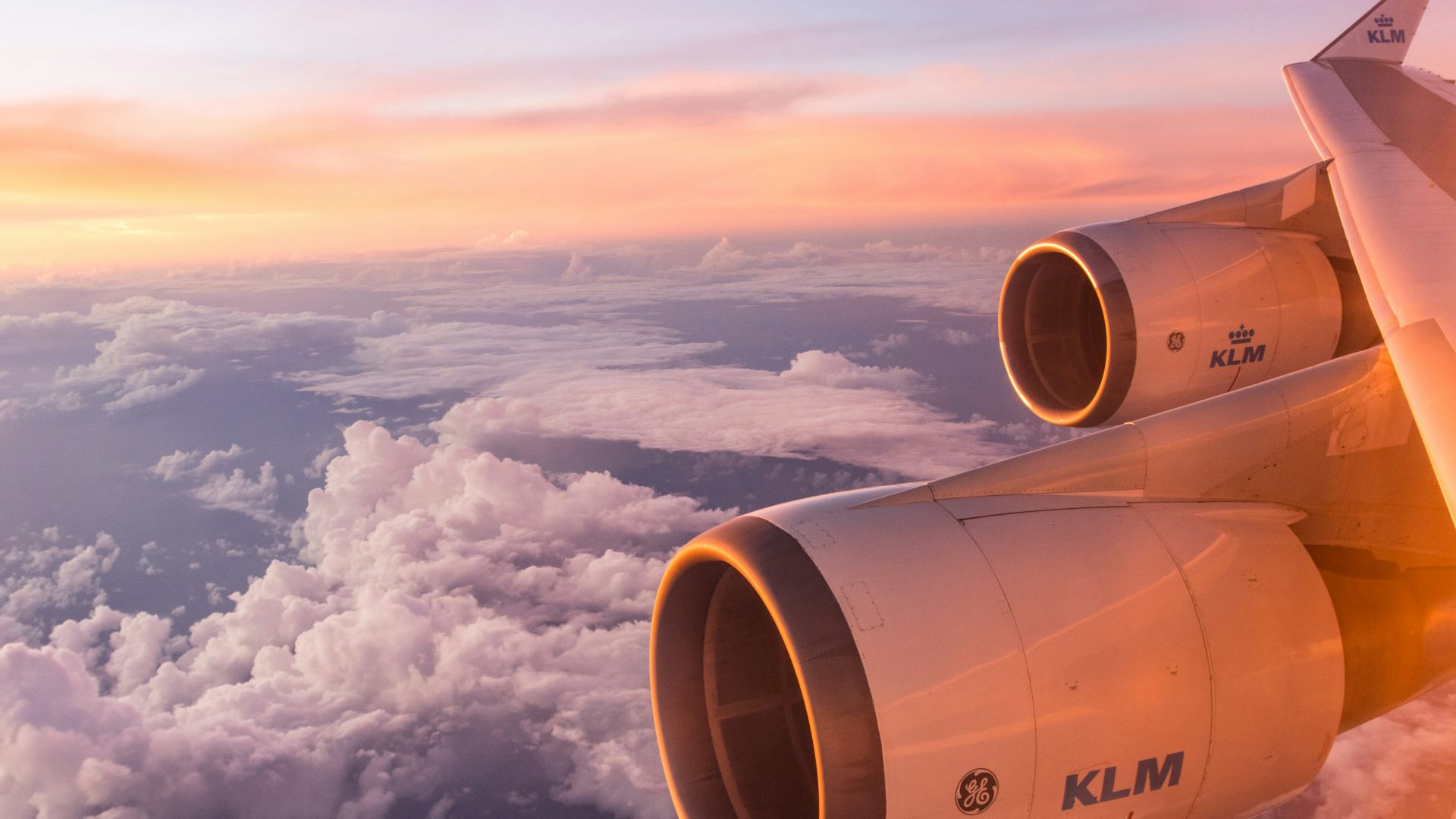 white air plane wing