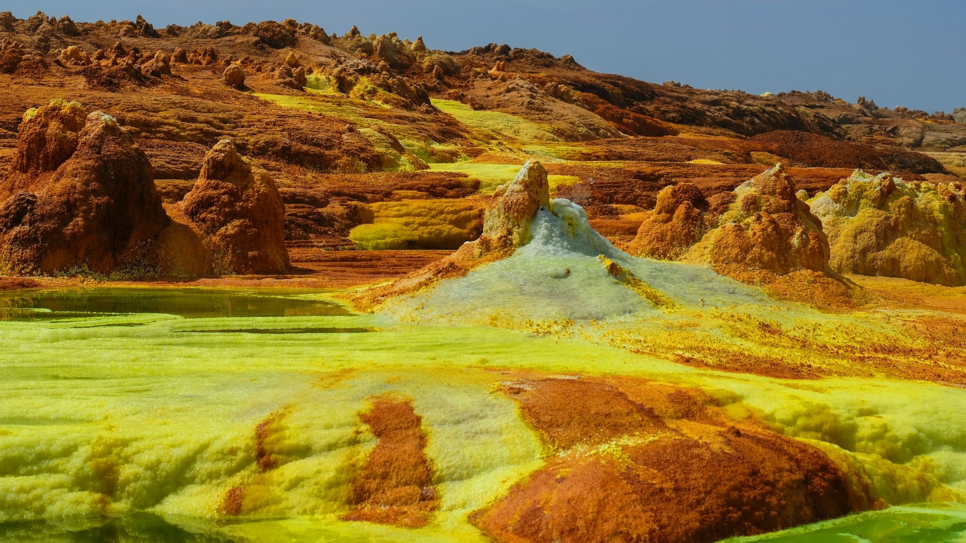 brown and green field under blue sky during daytime