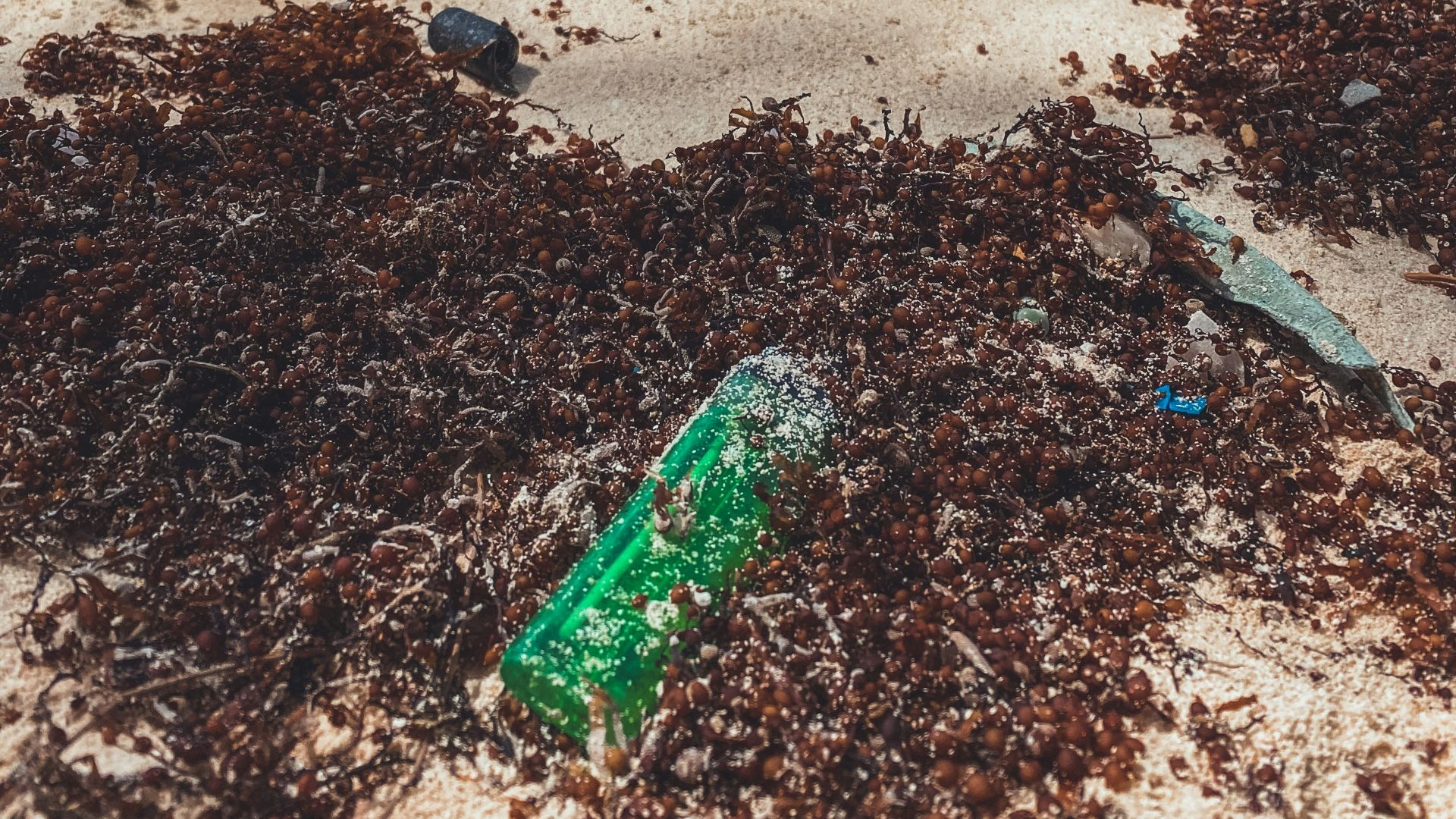a beach with a blue umbrella