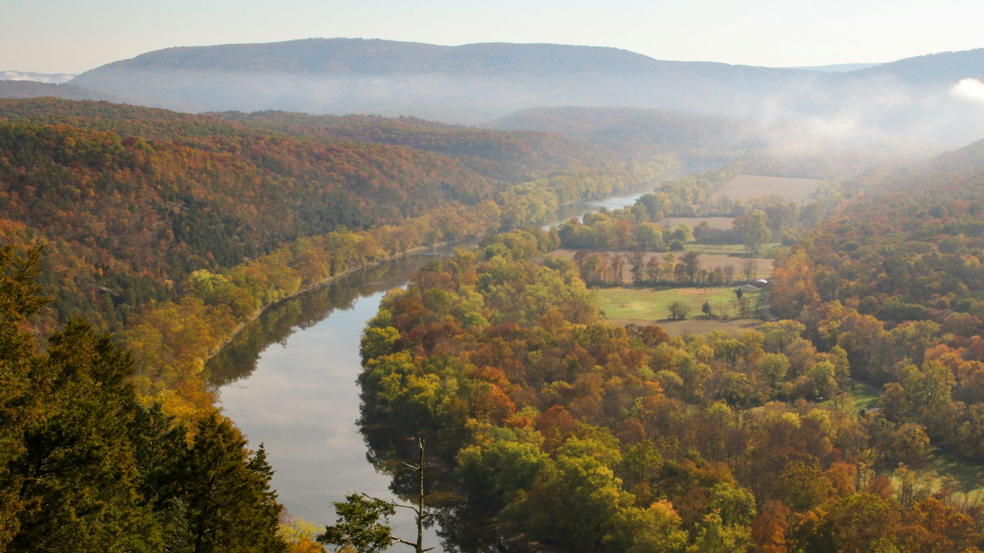 a river running through a lush green forest