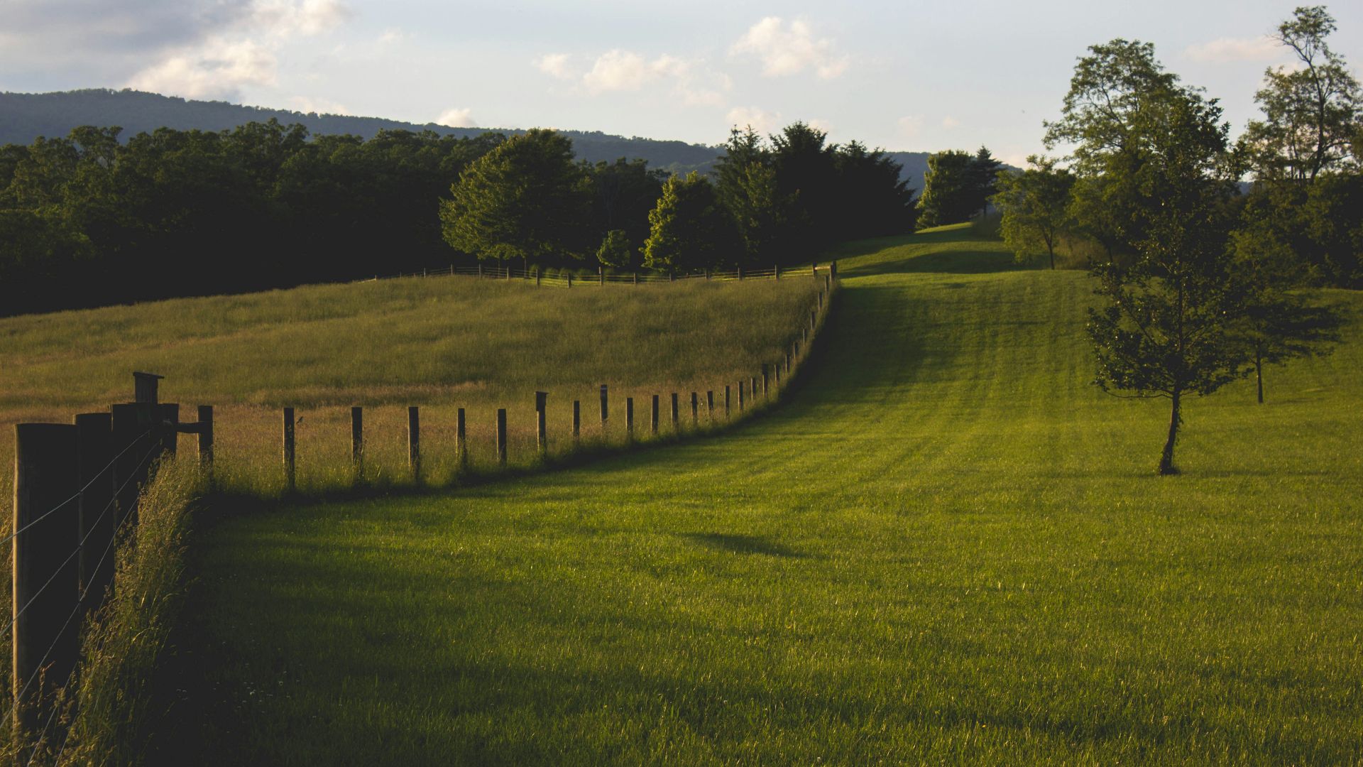 landscape photography of green field with fence