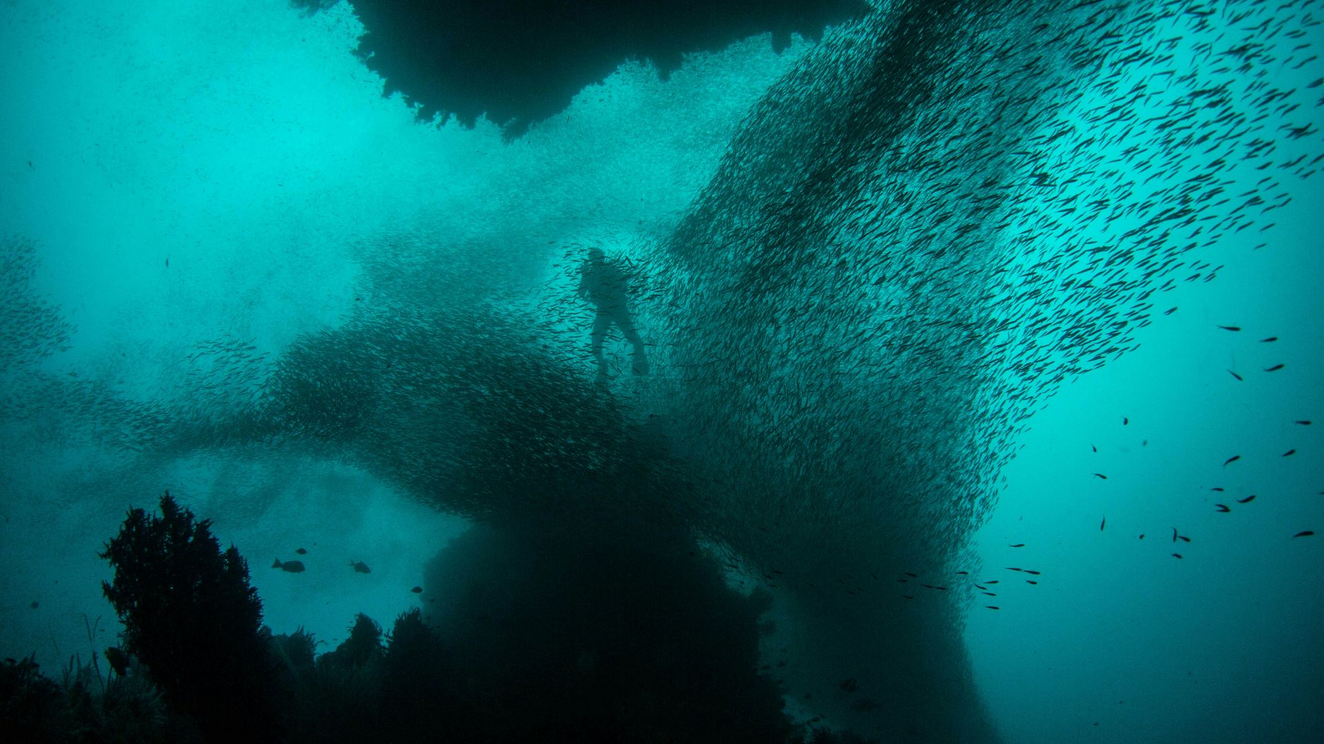 photo of person in body of water