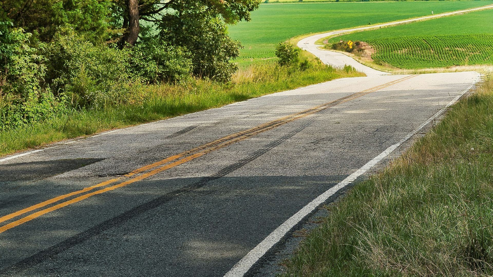 South Caroline State Line street sign