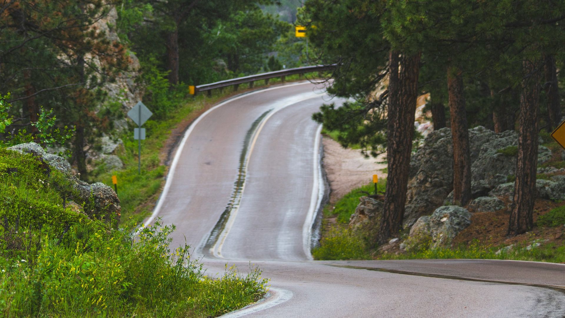a winding road in the middle of a forest
