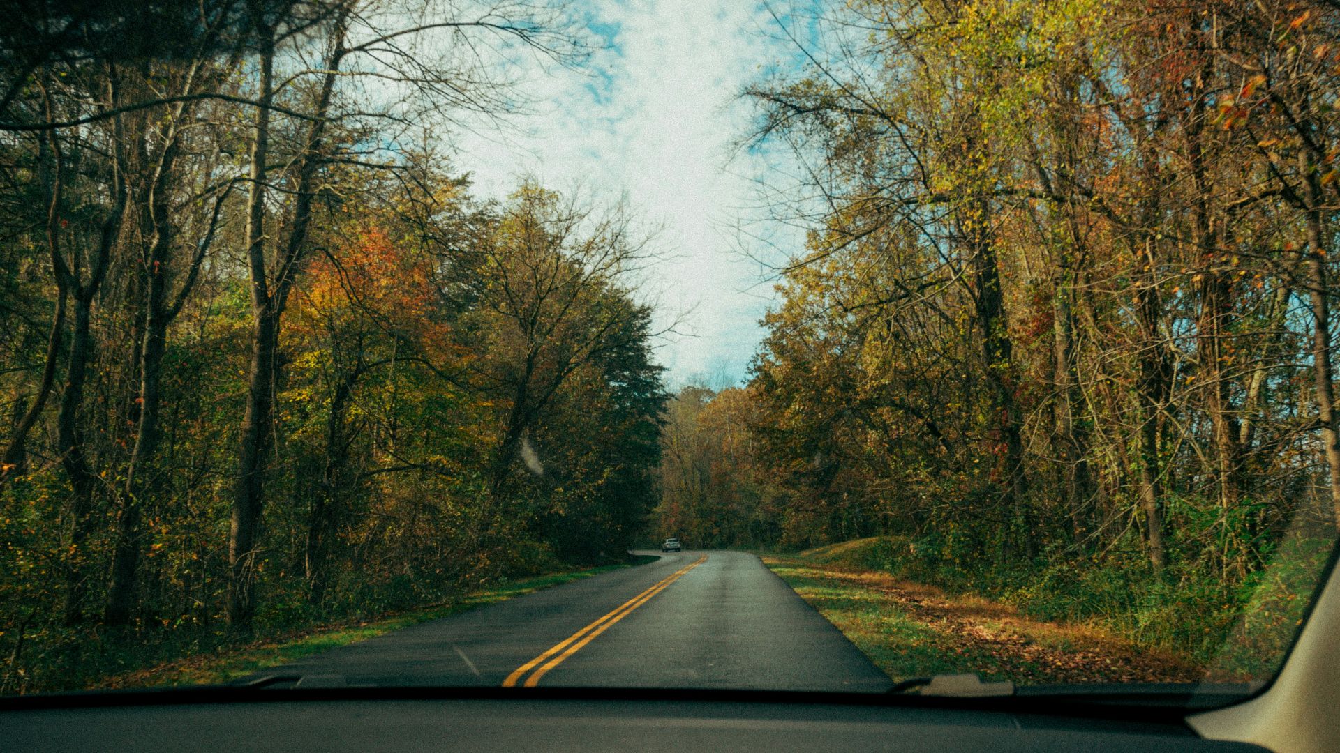 black asphalt road between trees during daytime