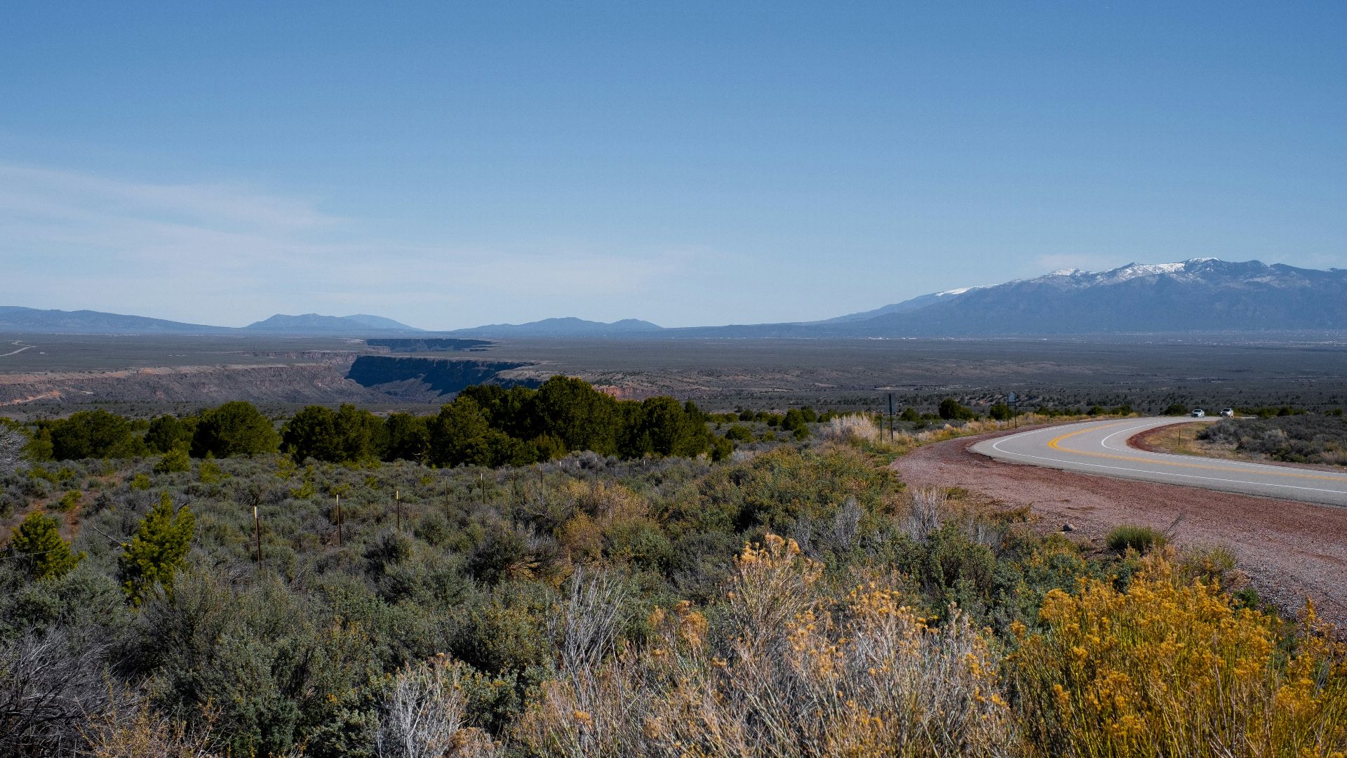 green grass field near brown sand during daytime