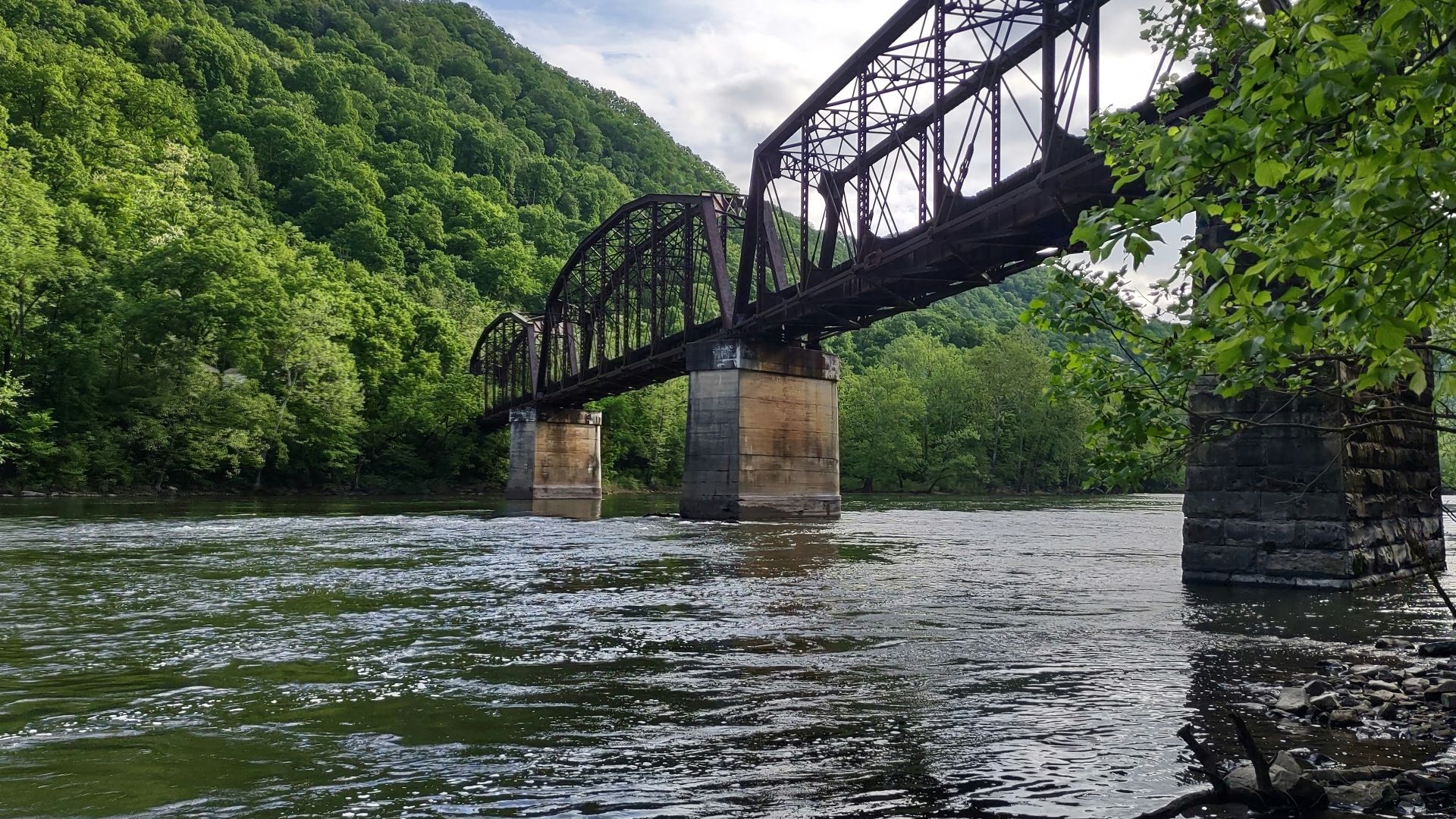 a bridge over a river surrounded by trees