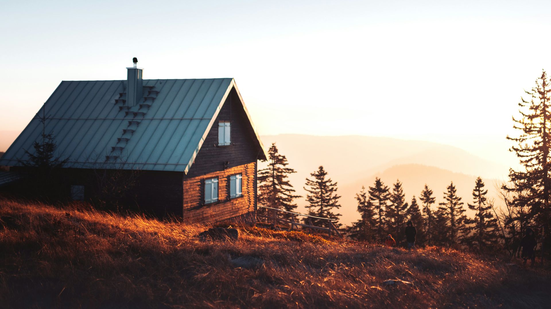 black and brown house near trees
