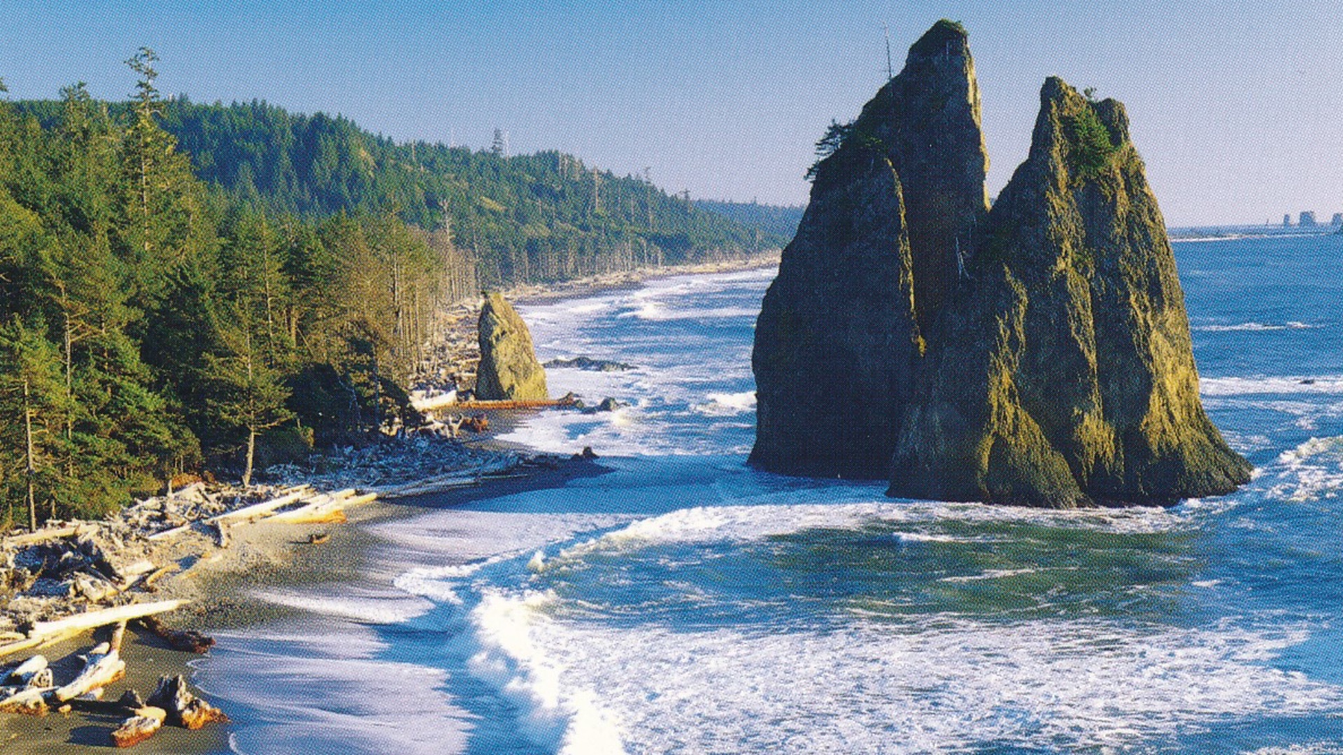 File:Olympic National Park Postcard (52786745345).jpg