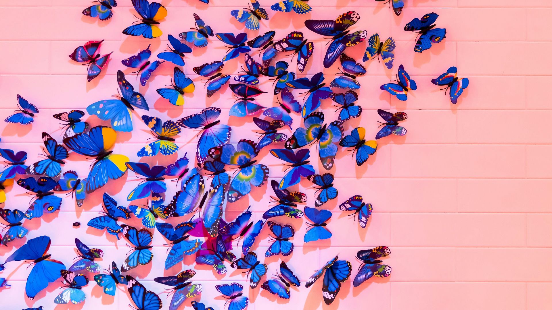 blue butterfly sticker lot