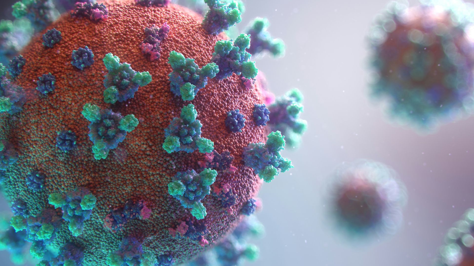 Visualization of the coronavirus causing COVID-19