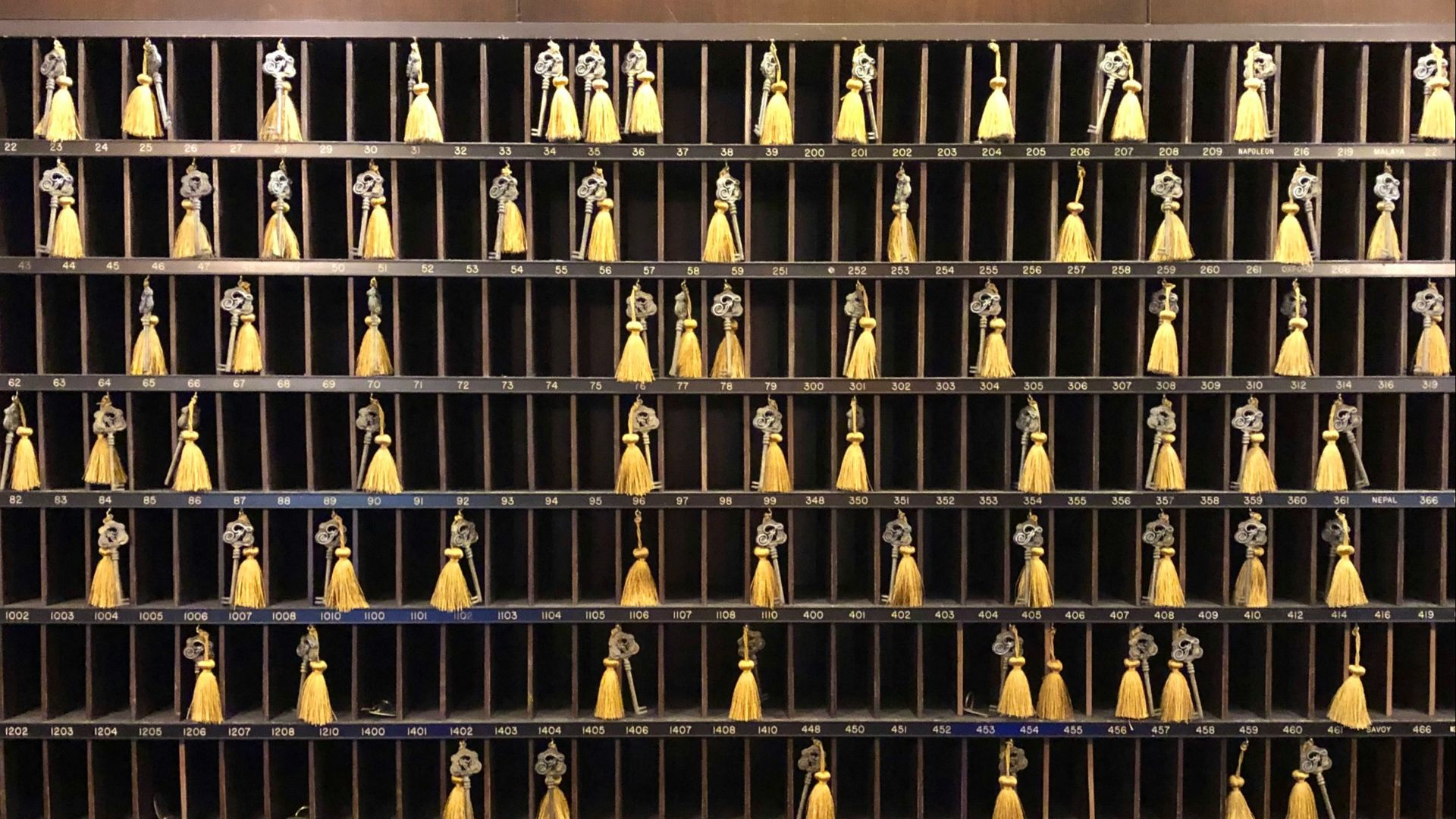 a group of birds on a rack