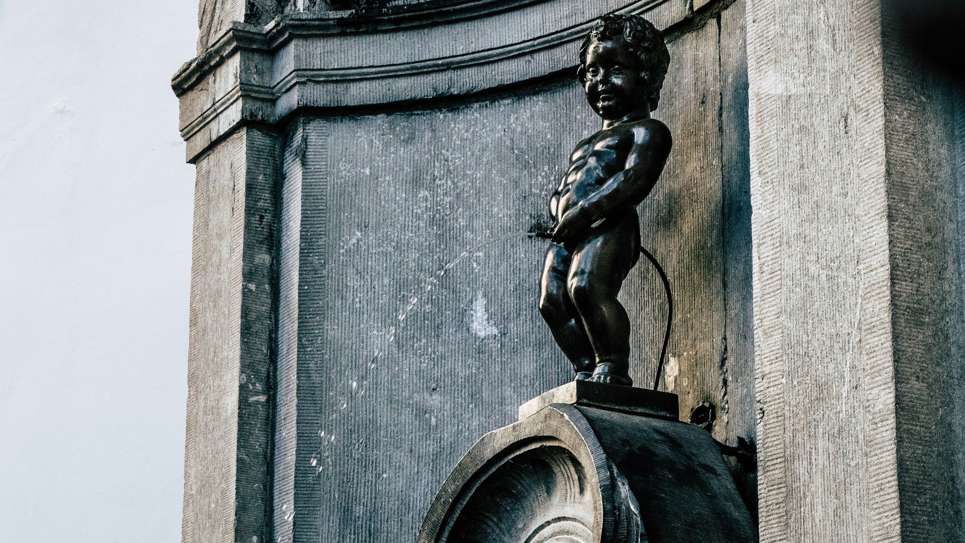 brass door knob on brown wooden door