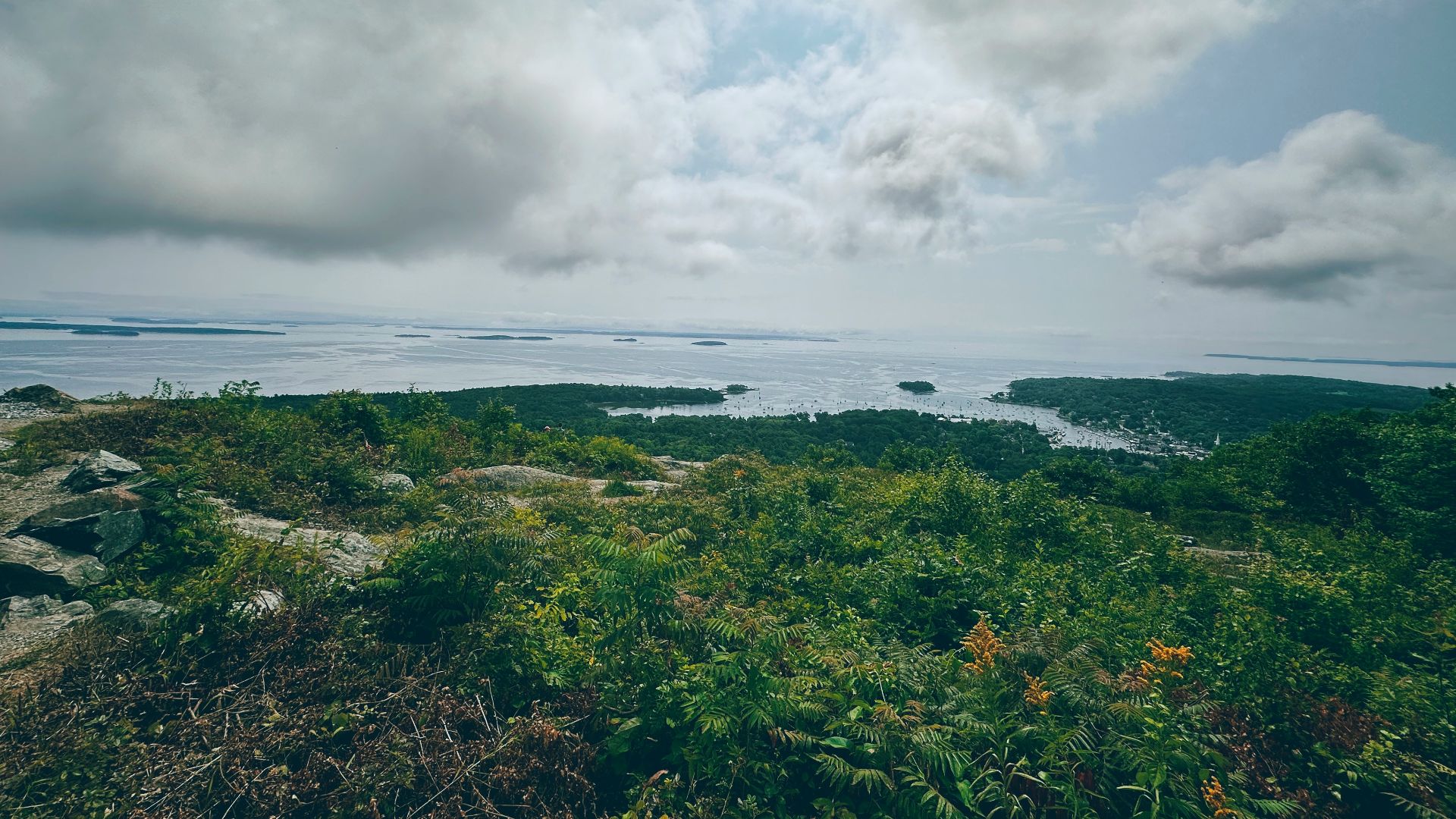 a view of the ocean and land from a hill
