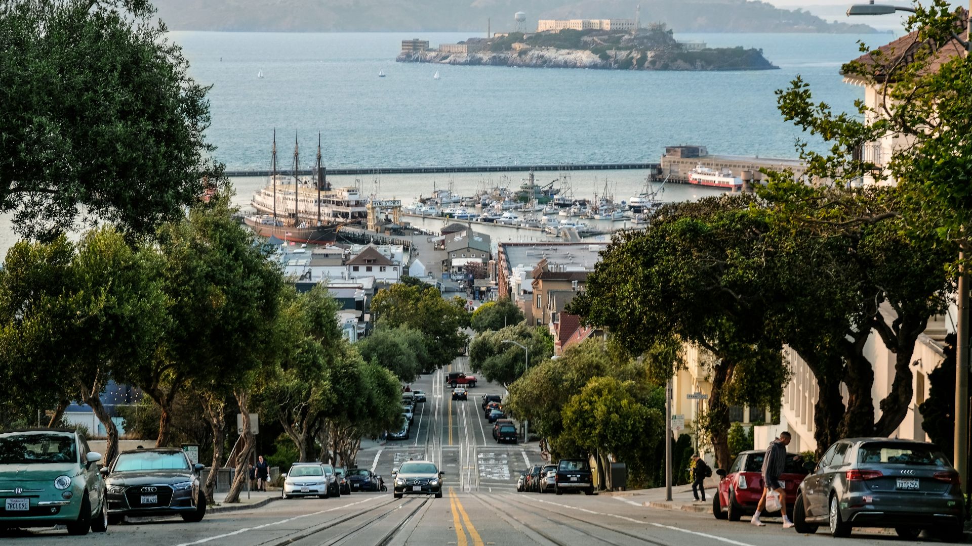 vehicles on road between trees