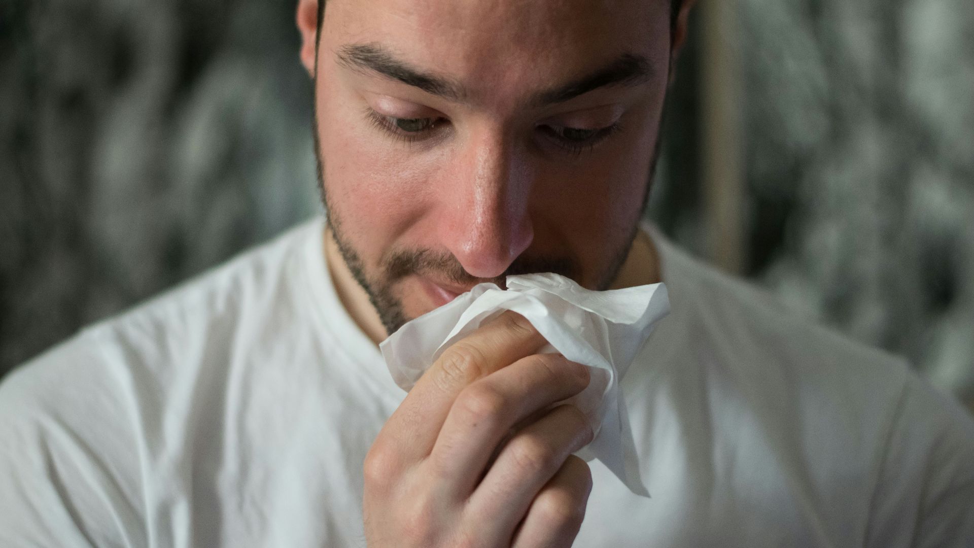 man wiping mouse with tissue paper