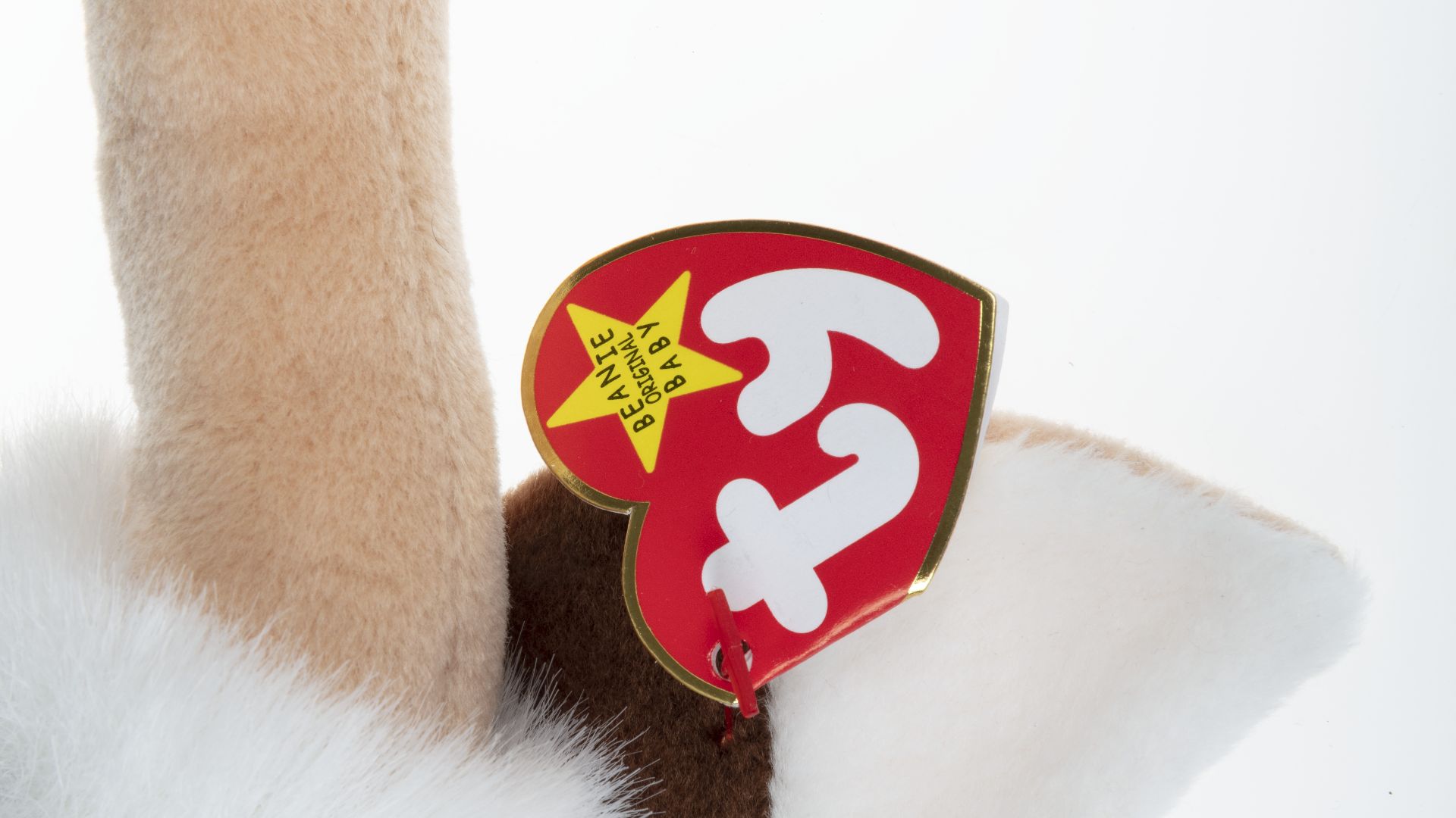 File:Ty