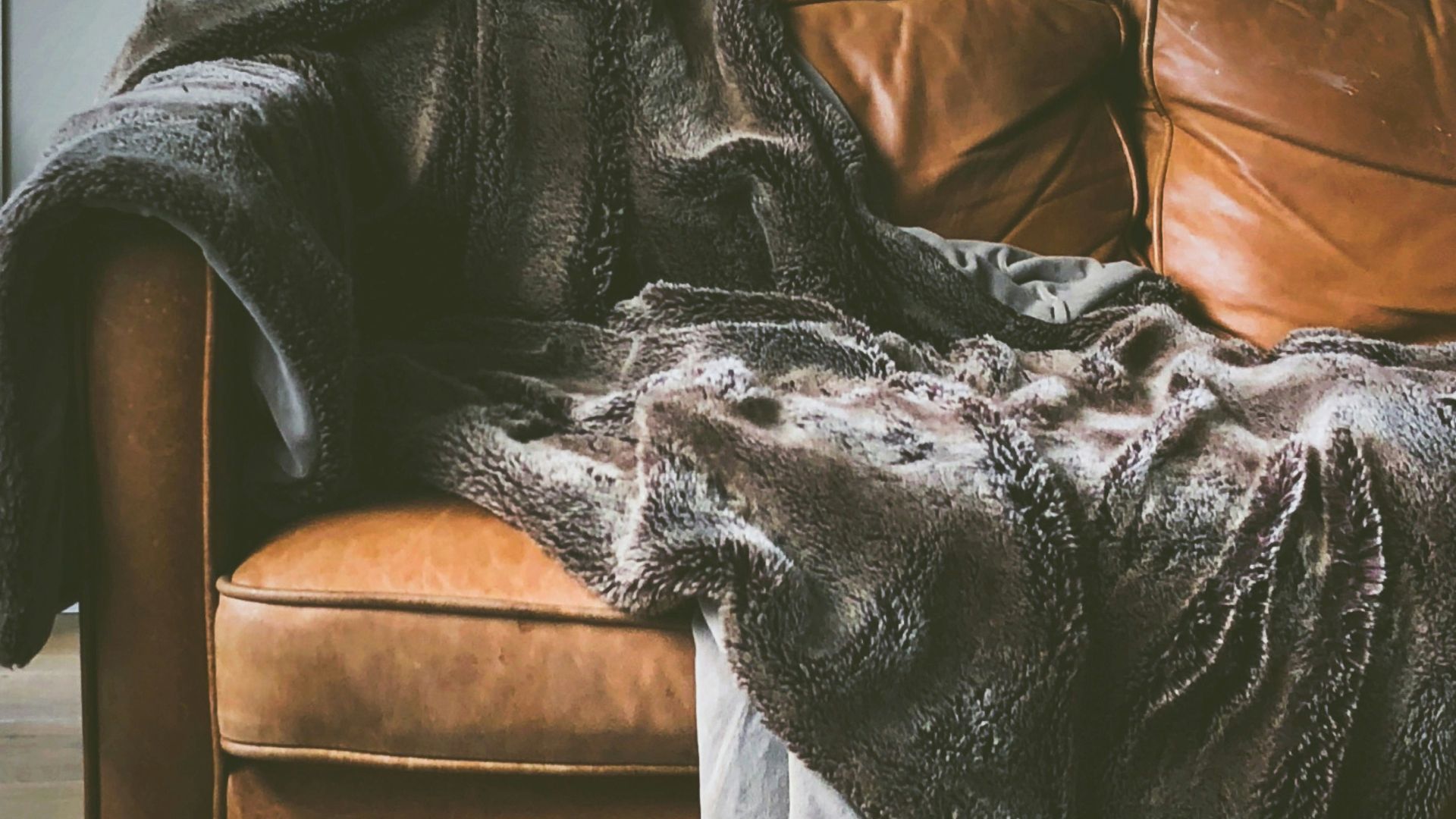 brown leather sofa