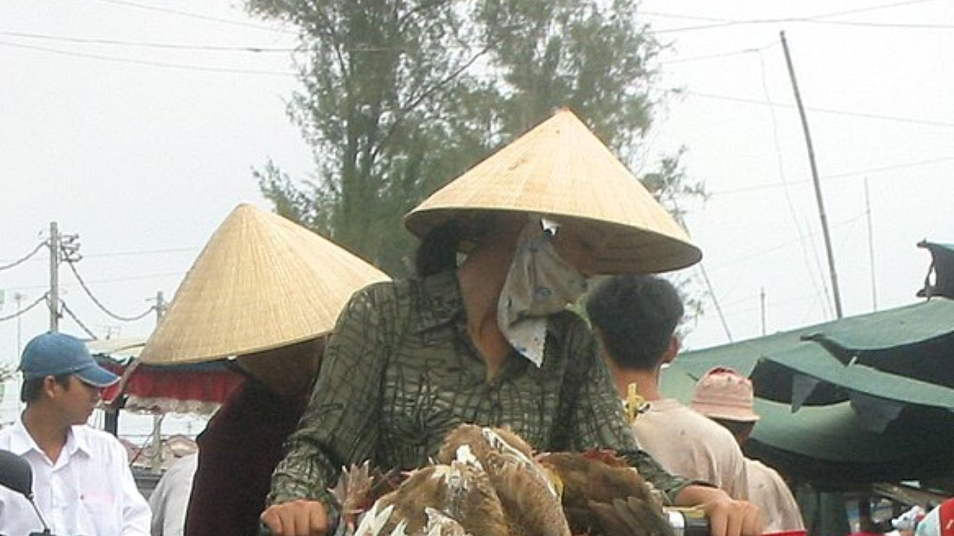 File:Duckmobile - Flickr - AlphaTangoBravo - Adam Baker.jpg