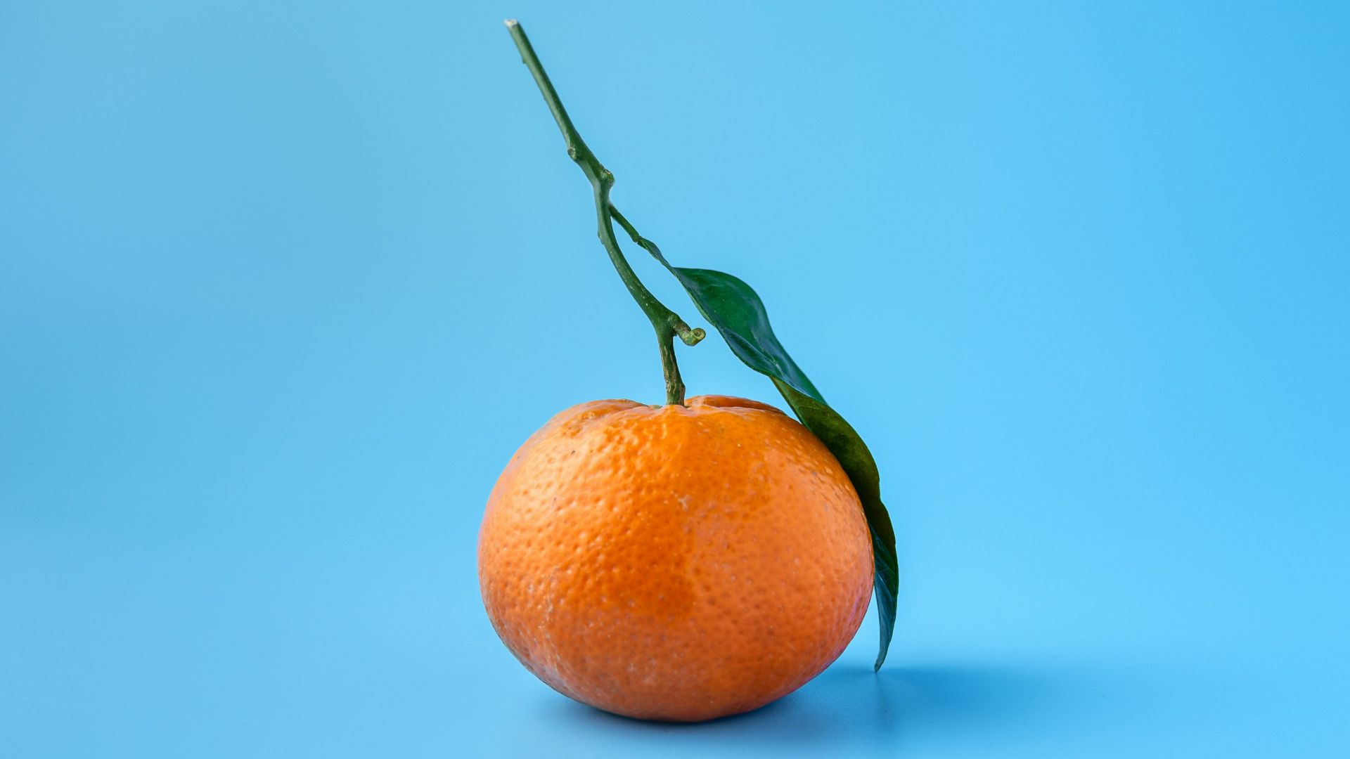 orange fruit