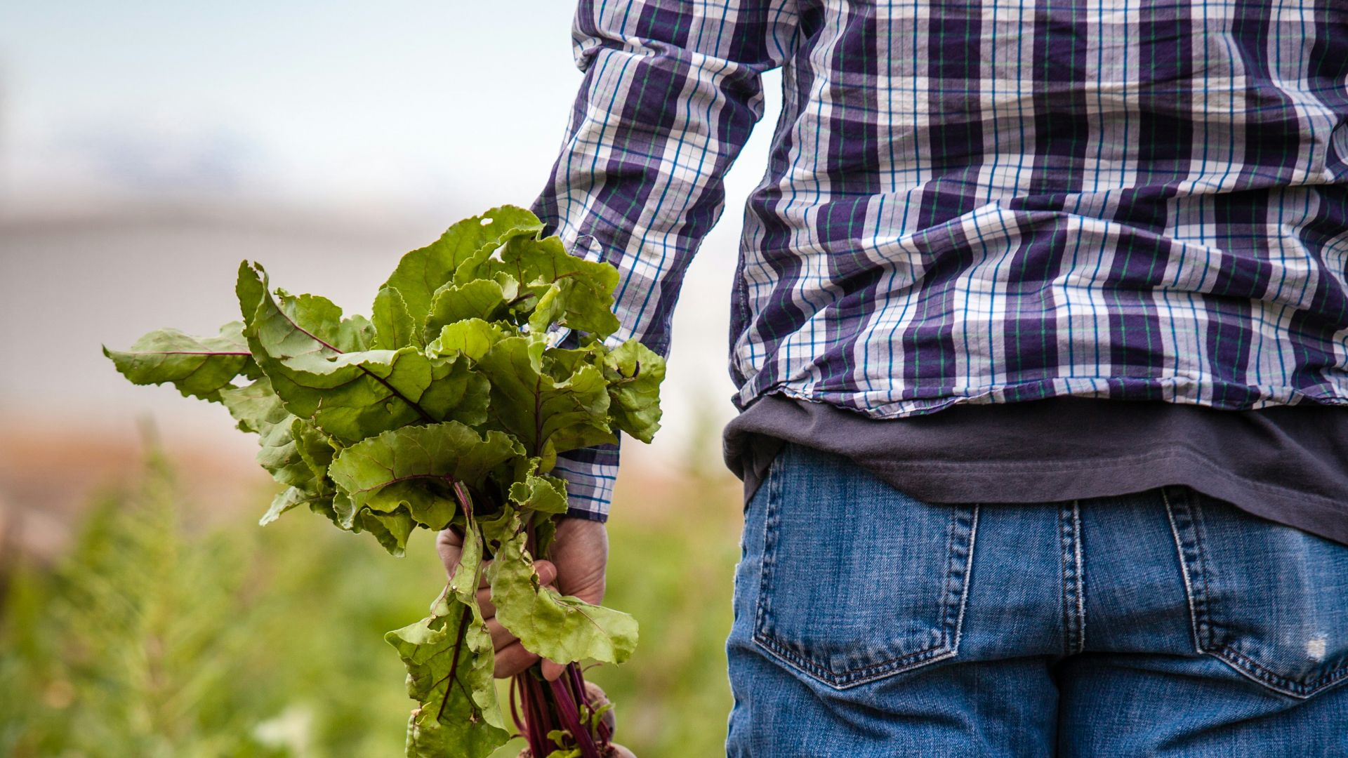 man holding beetroots during daytime