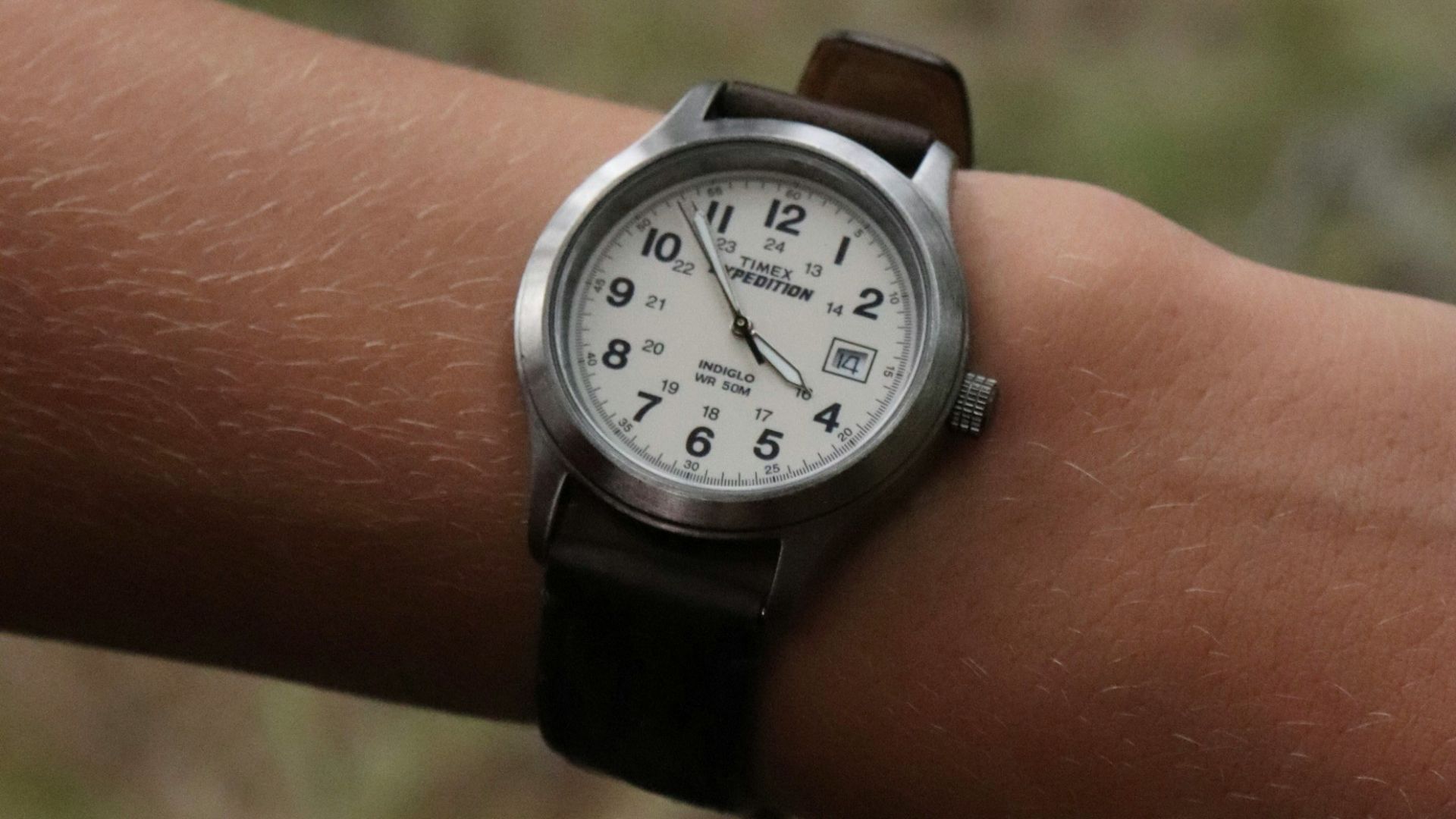 A person with a watch on their arm
