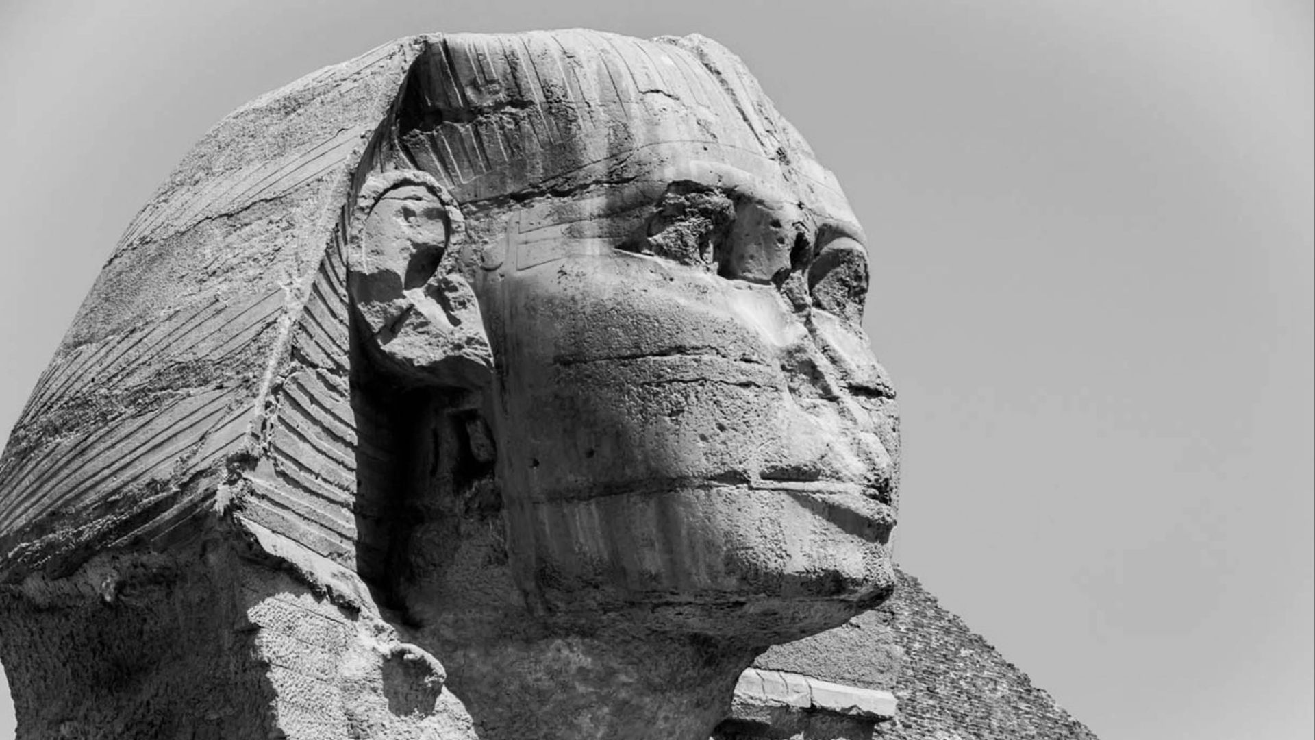 Christine Schmiederer