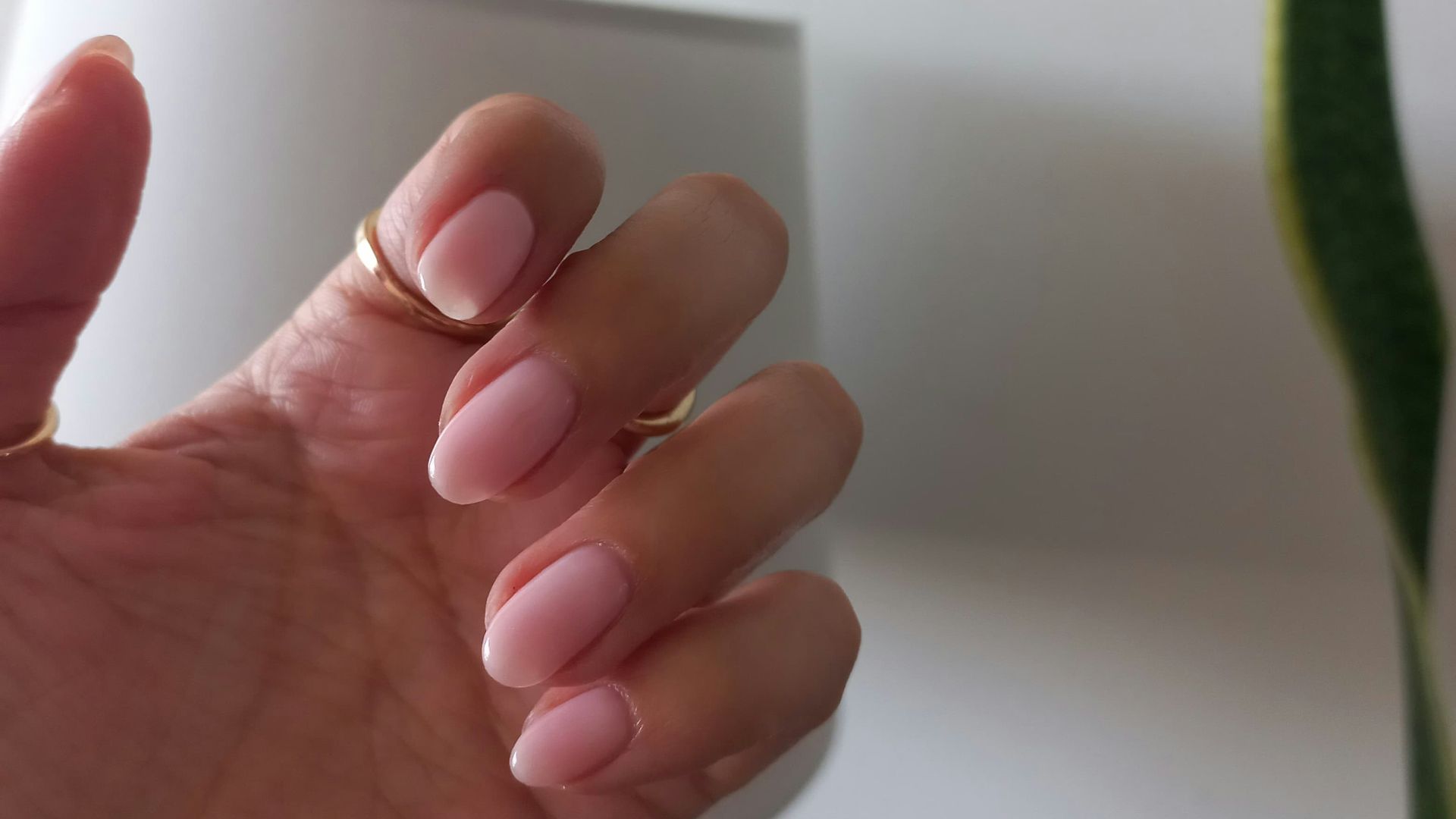 Hand with manicured nails is shown.