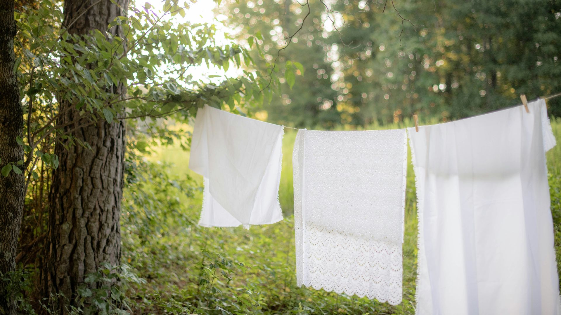 white and gray floral textile hanged on green leaf tree