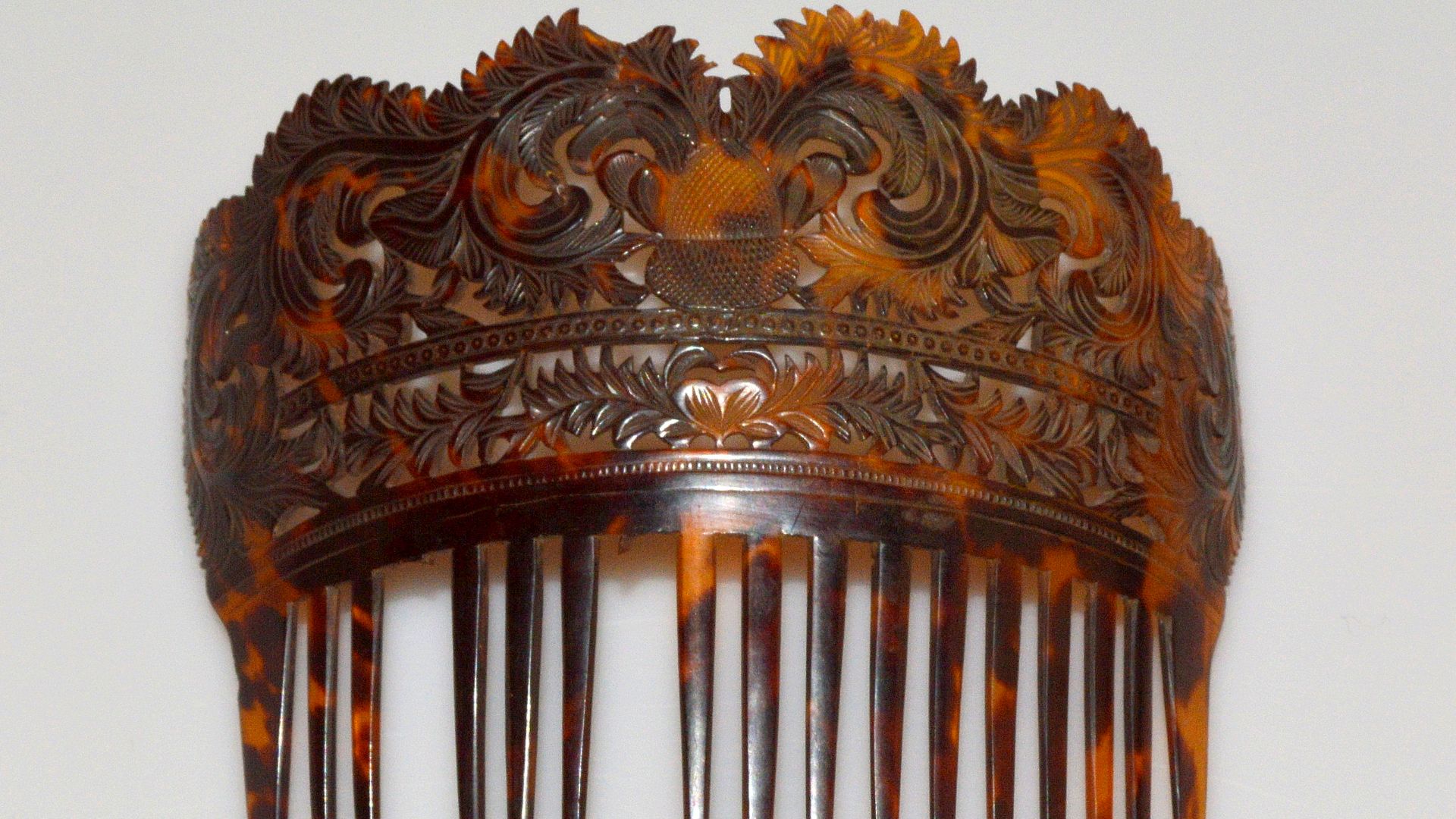 File:Tortoise Shell Comb.jpg