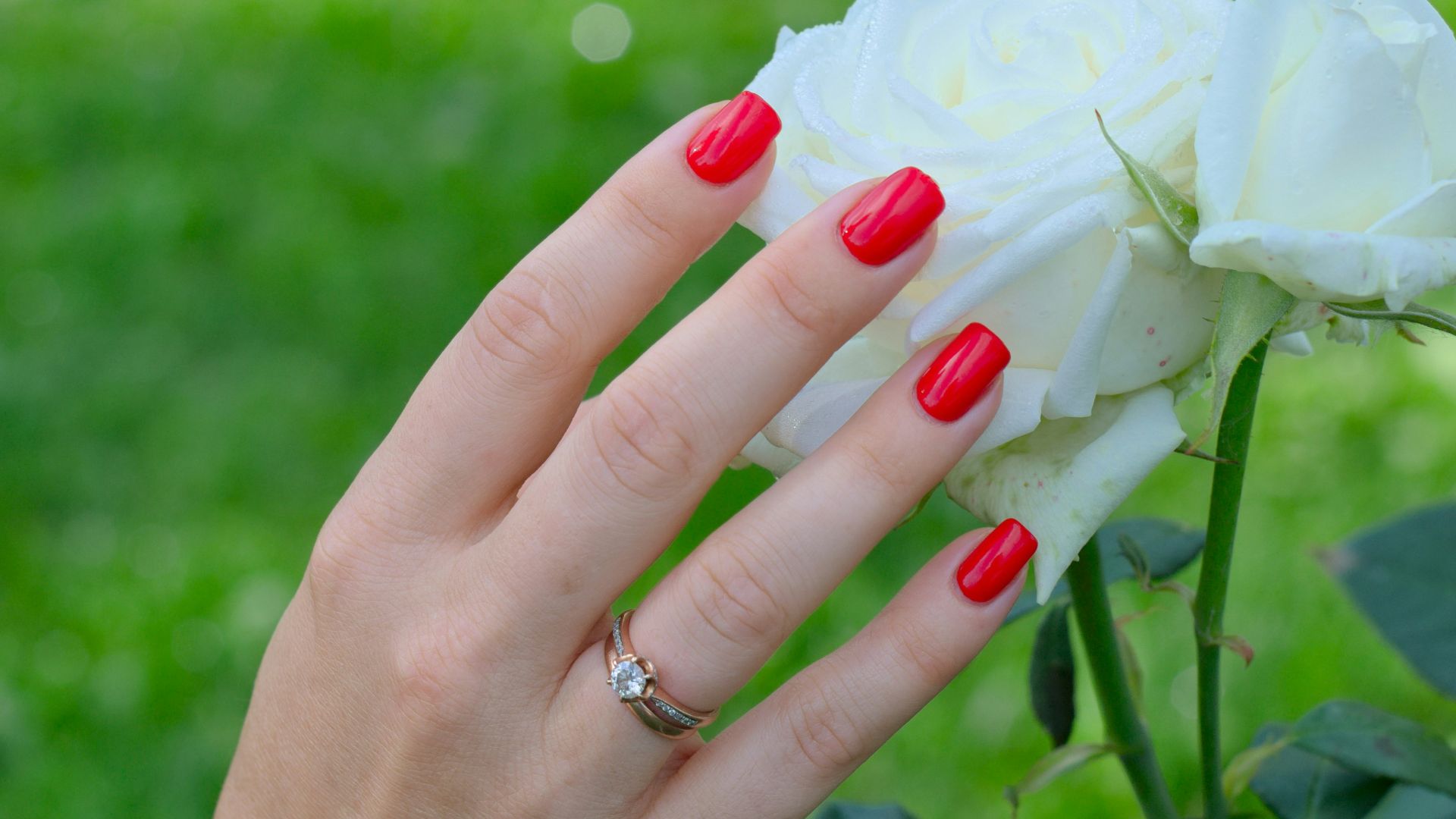 a person holding a white flower