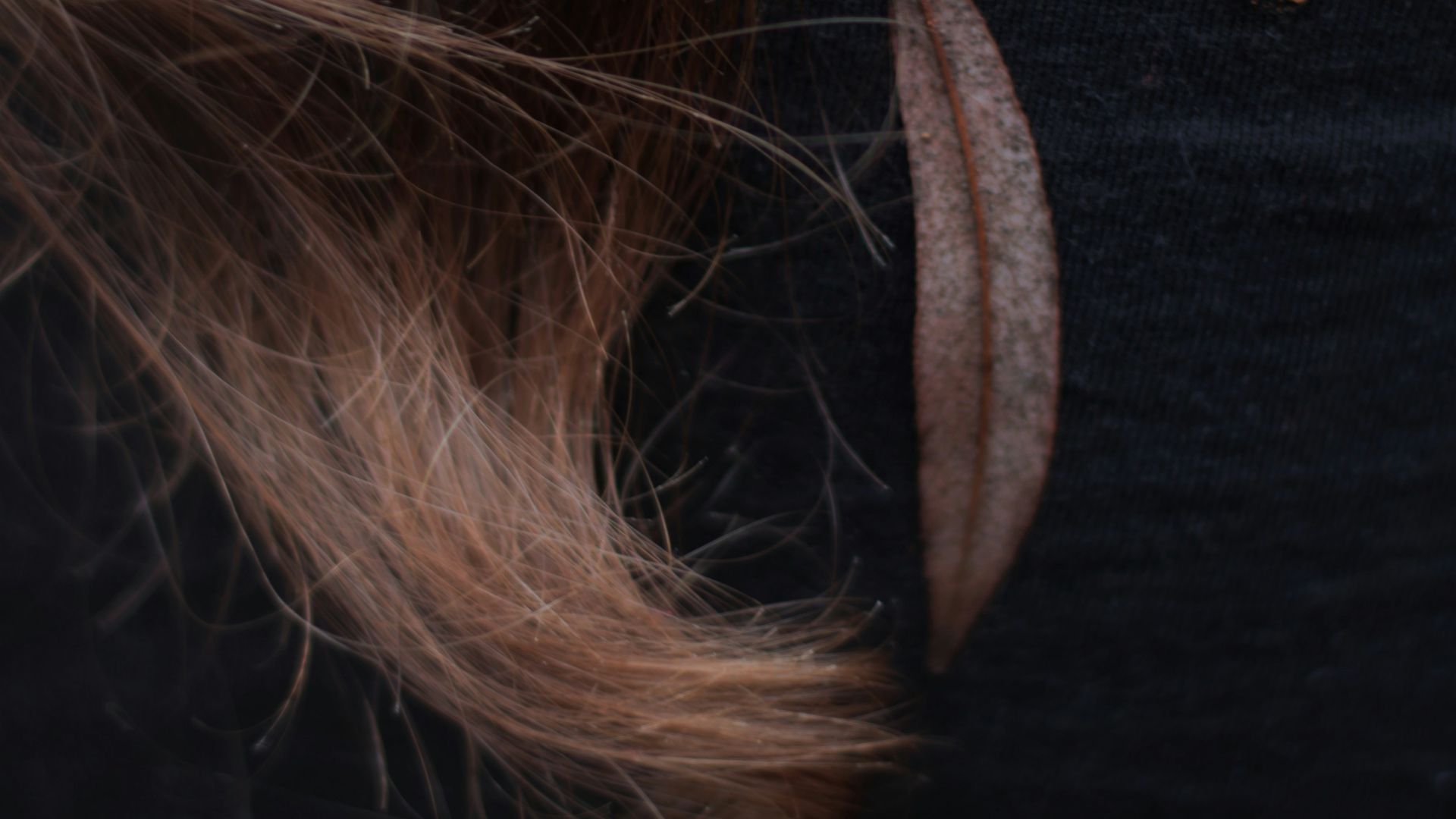 A close up of a person with long hair