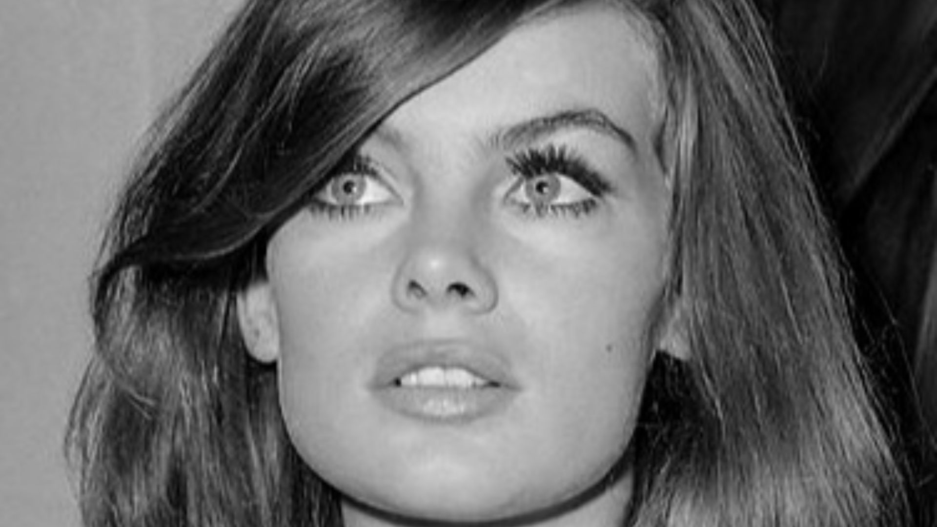 File:Jean Shrimpton (1965) 2.jpg