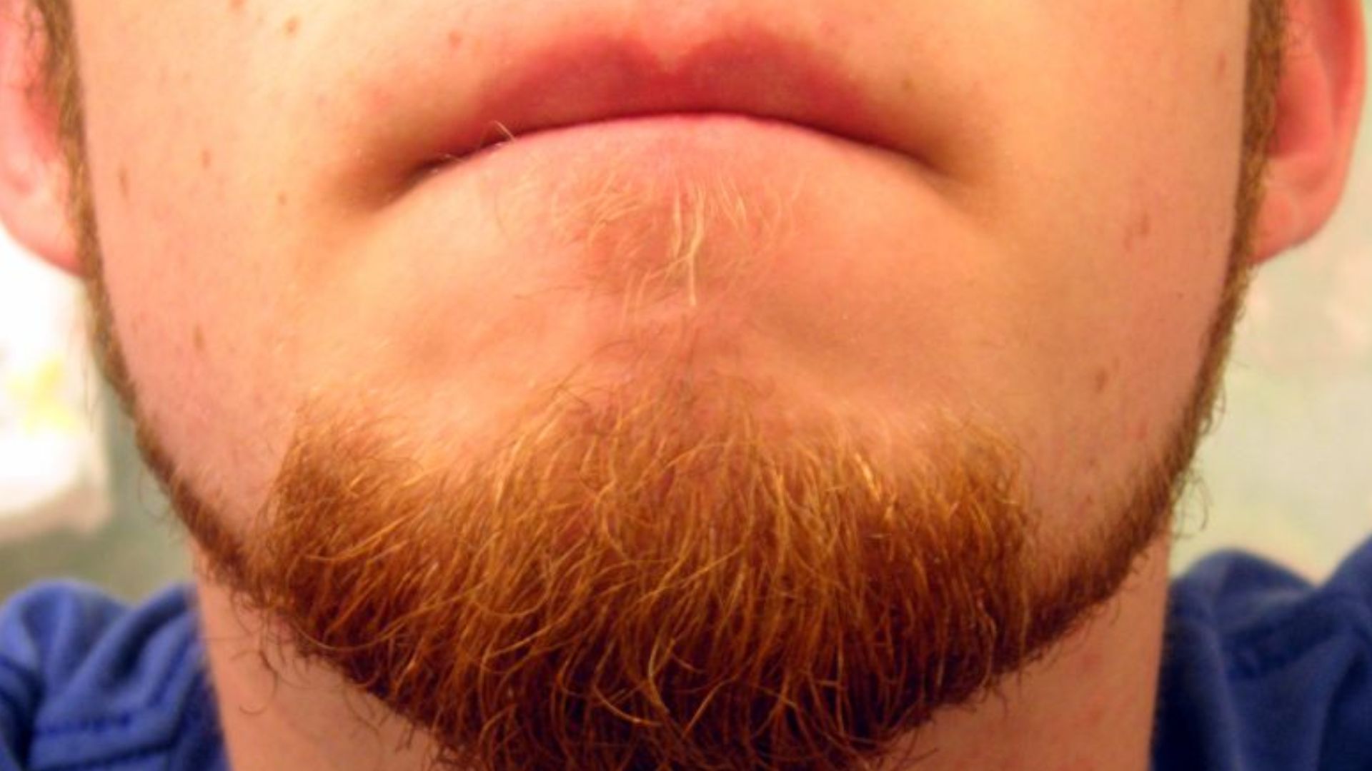 File:Tiered-goatee.jpg