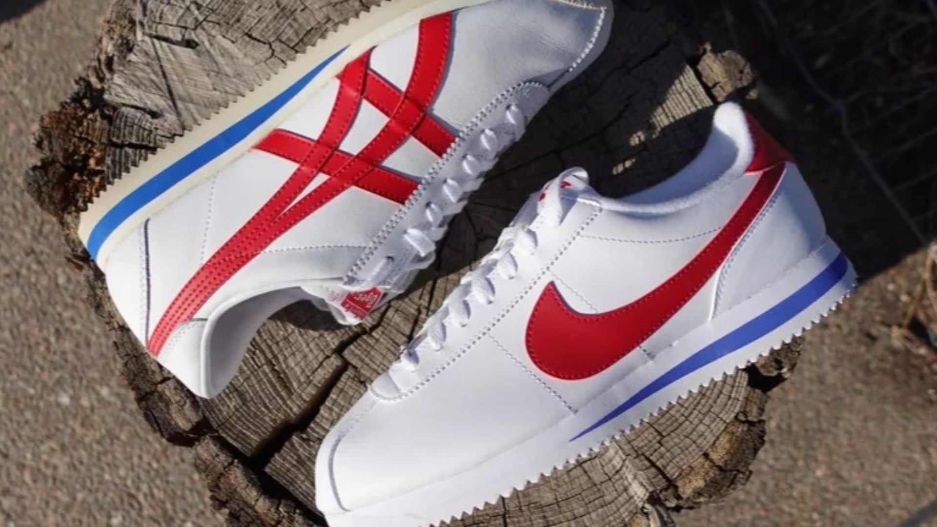 File:Corsair Cortez.jpg