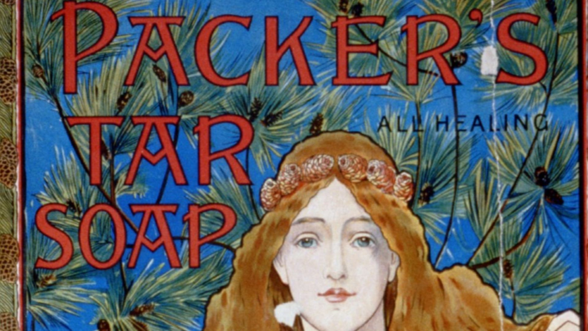 File:Packer's tar soap...for the hair and skin - Louis J. Rhead LCCN2002721208.jpg