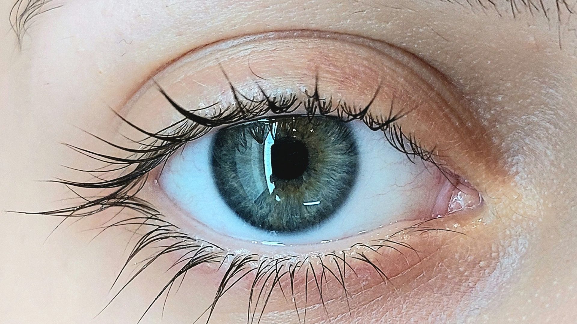 A close up of a person's blue eye