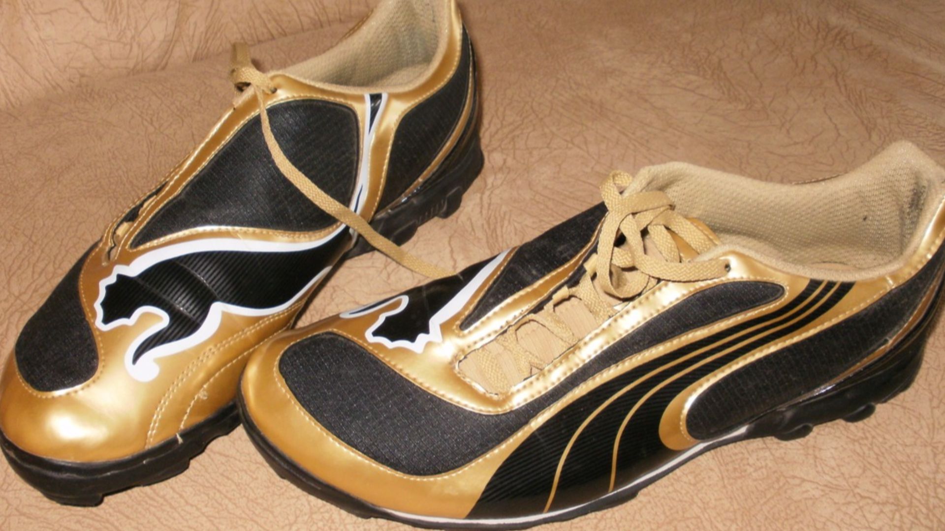 File:Puma V1.08 Gold 2009.jpg