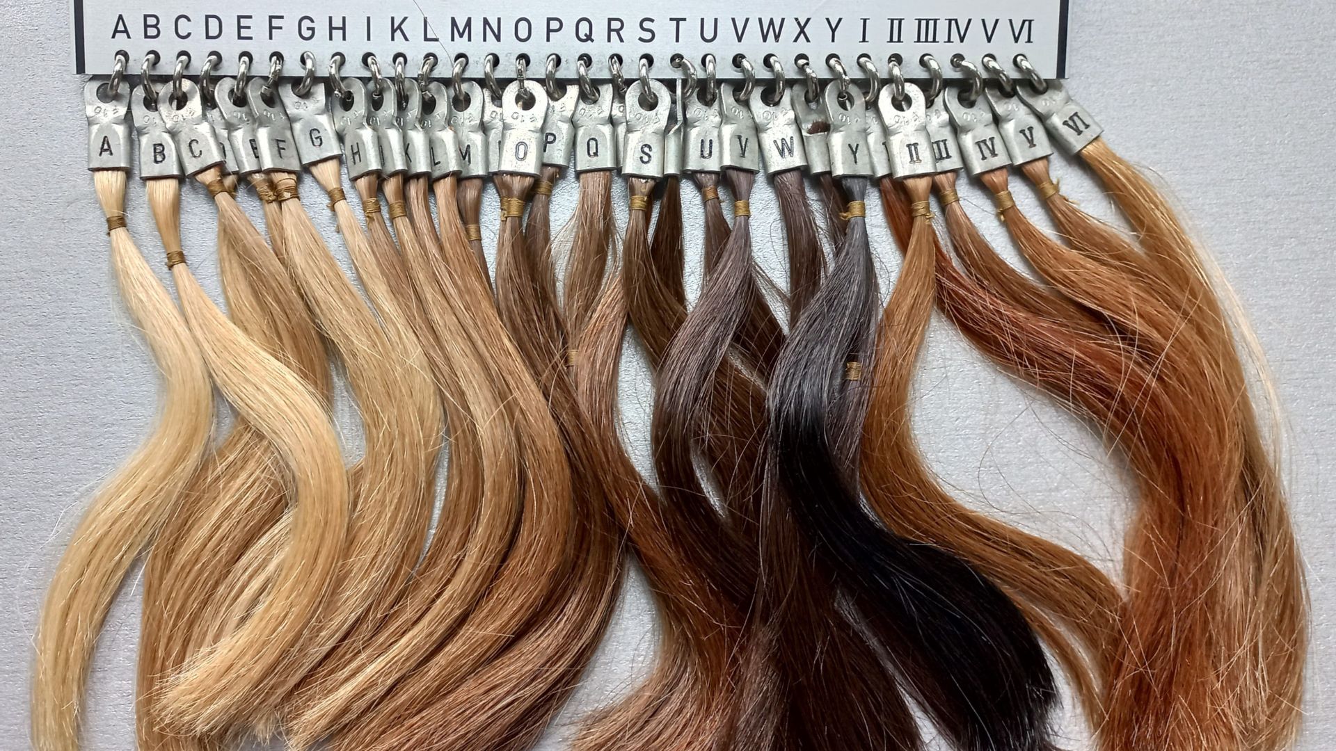 File:Fischer-Saller scale of hair color.jpg