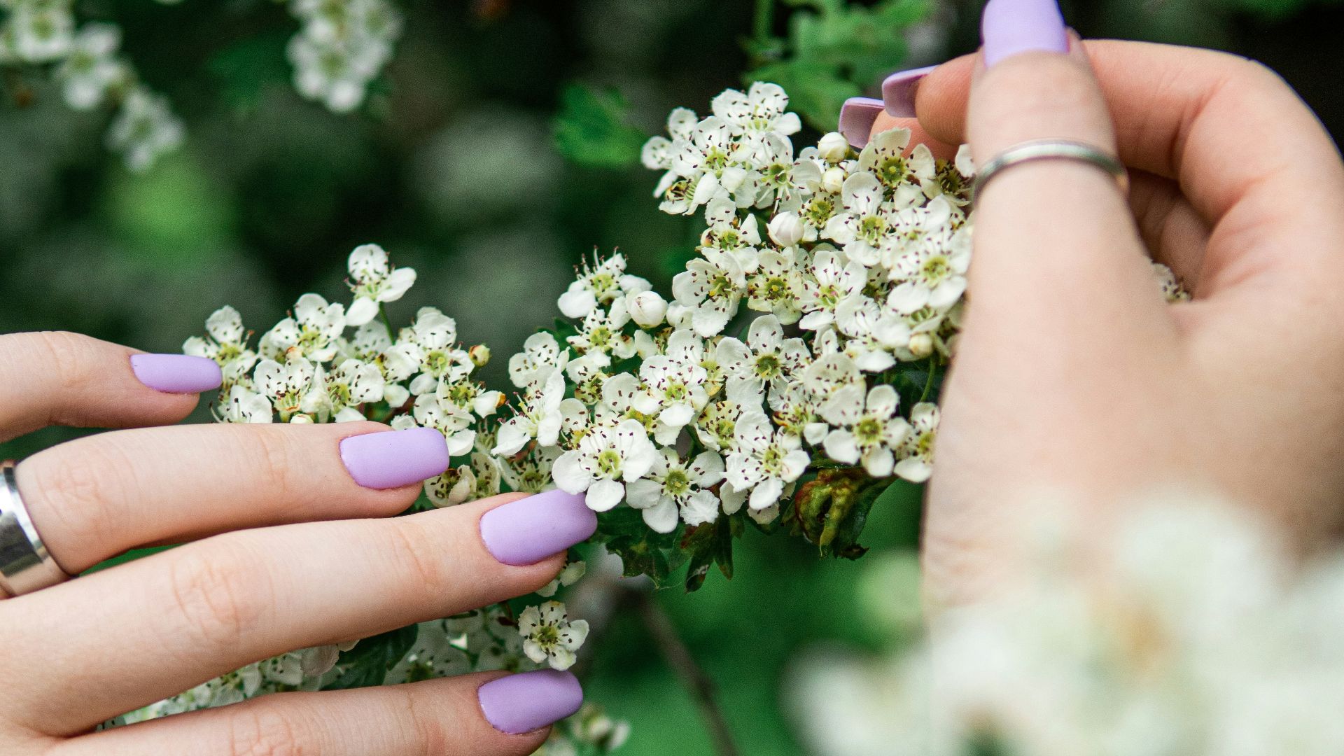 person holding white and yellow flowers