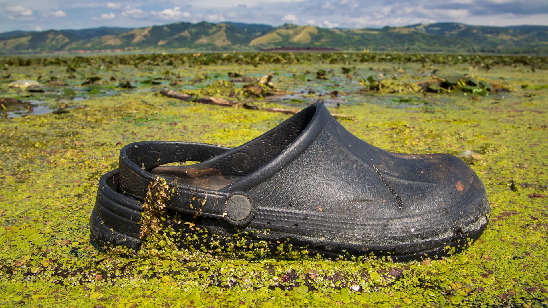 File:Gummilatsche treibt auf der Wasseroberfläche der Donau. Wasserverschmutzung (48676353753).jpg